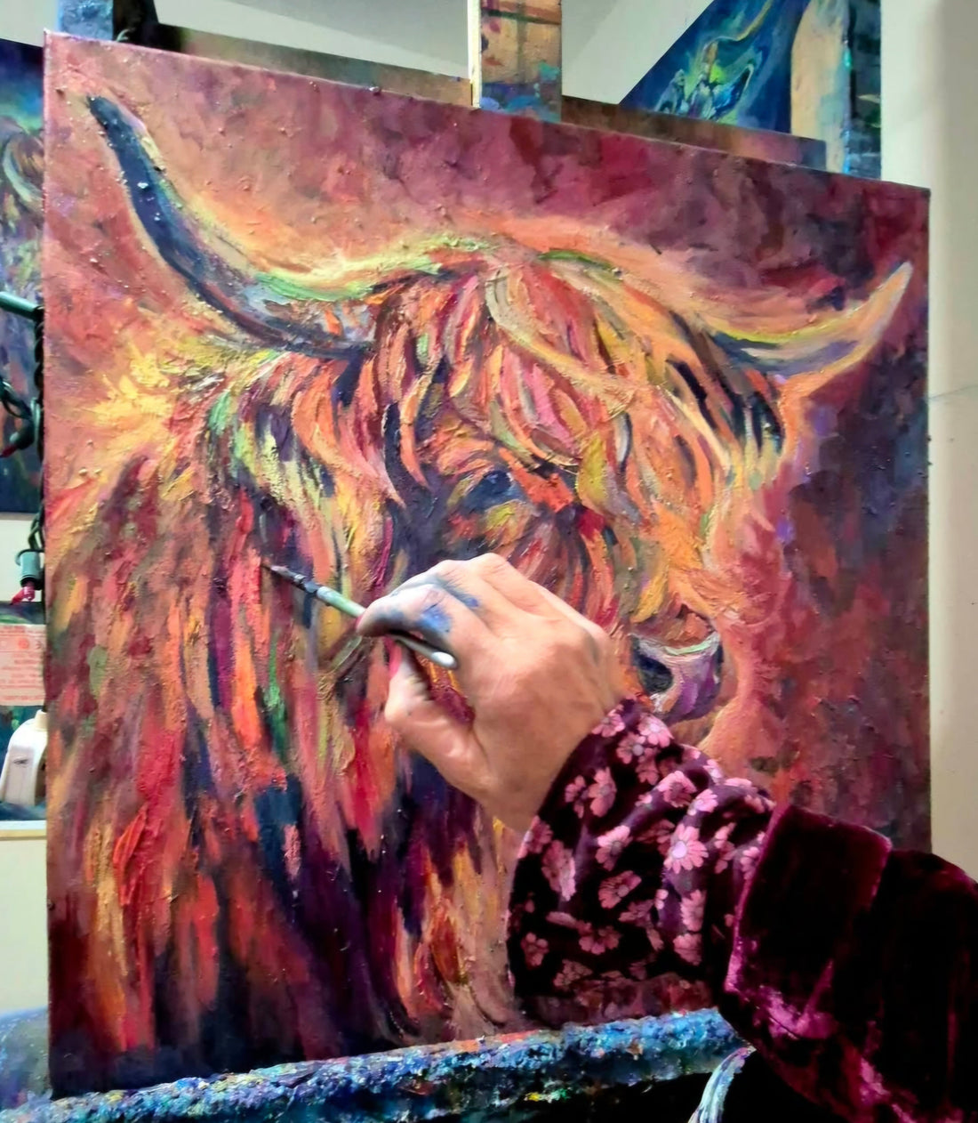 Highland Cow Lit by the Setting Sun -*SOLD*