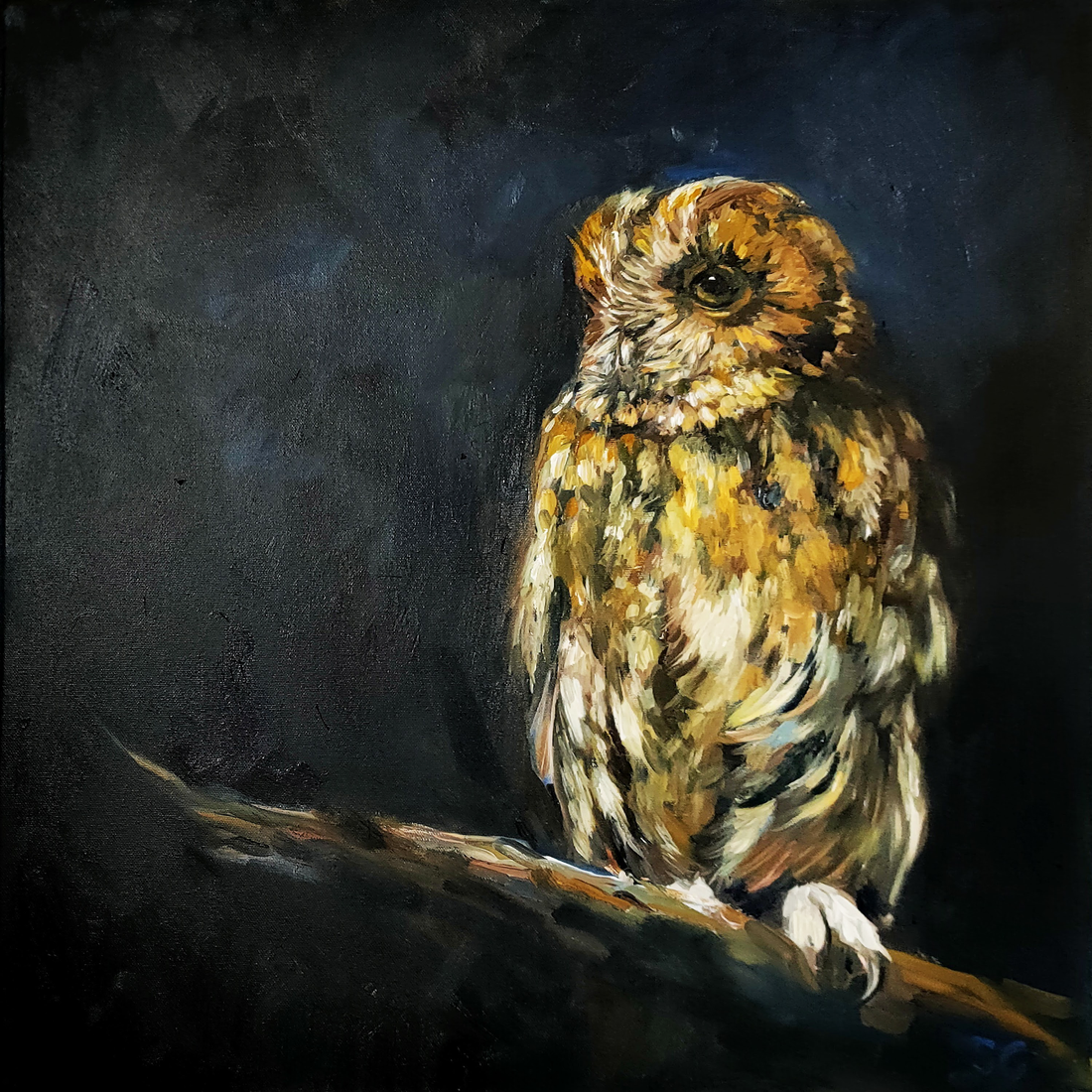 The Watcher in the Shadows – A Framed 50 x 50 cm Tawny Owl Oil Painting - Animal Art by Susan Gardner - Contemporary Expressionist - Colourful Fine Art