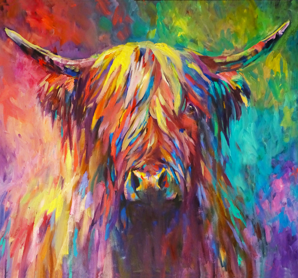 Highland Cow canvases