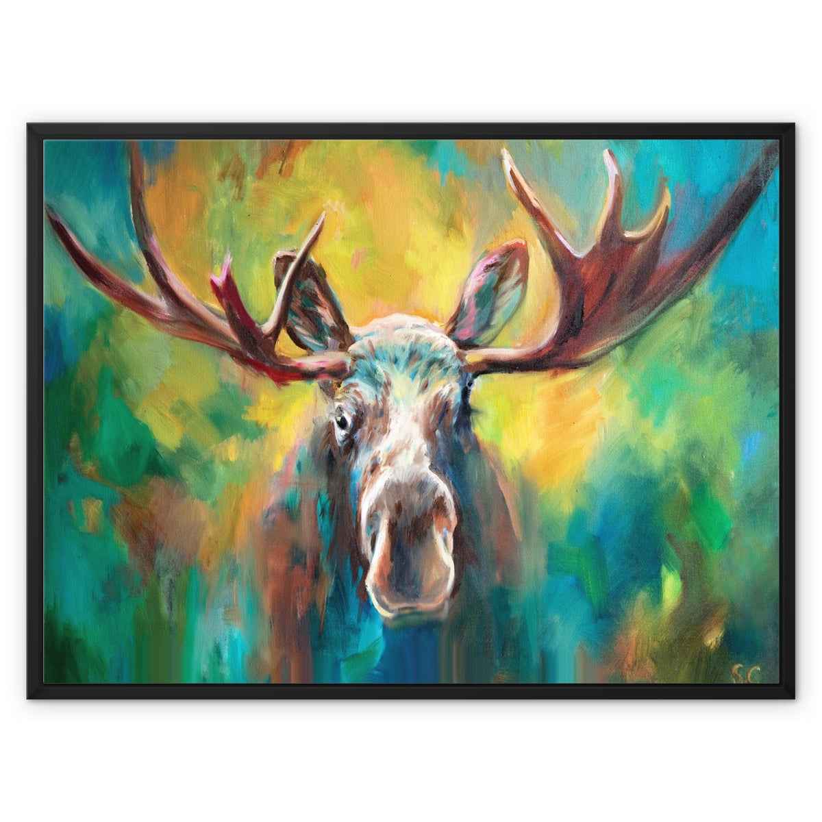 Moose Encounter Framed Canvas