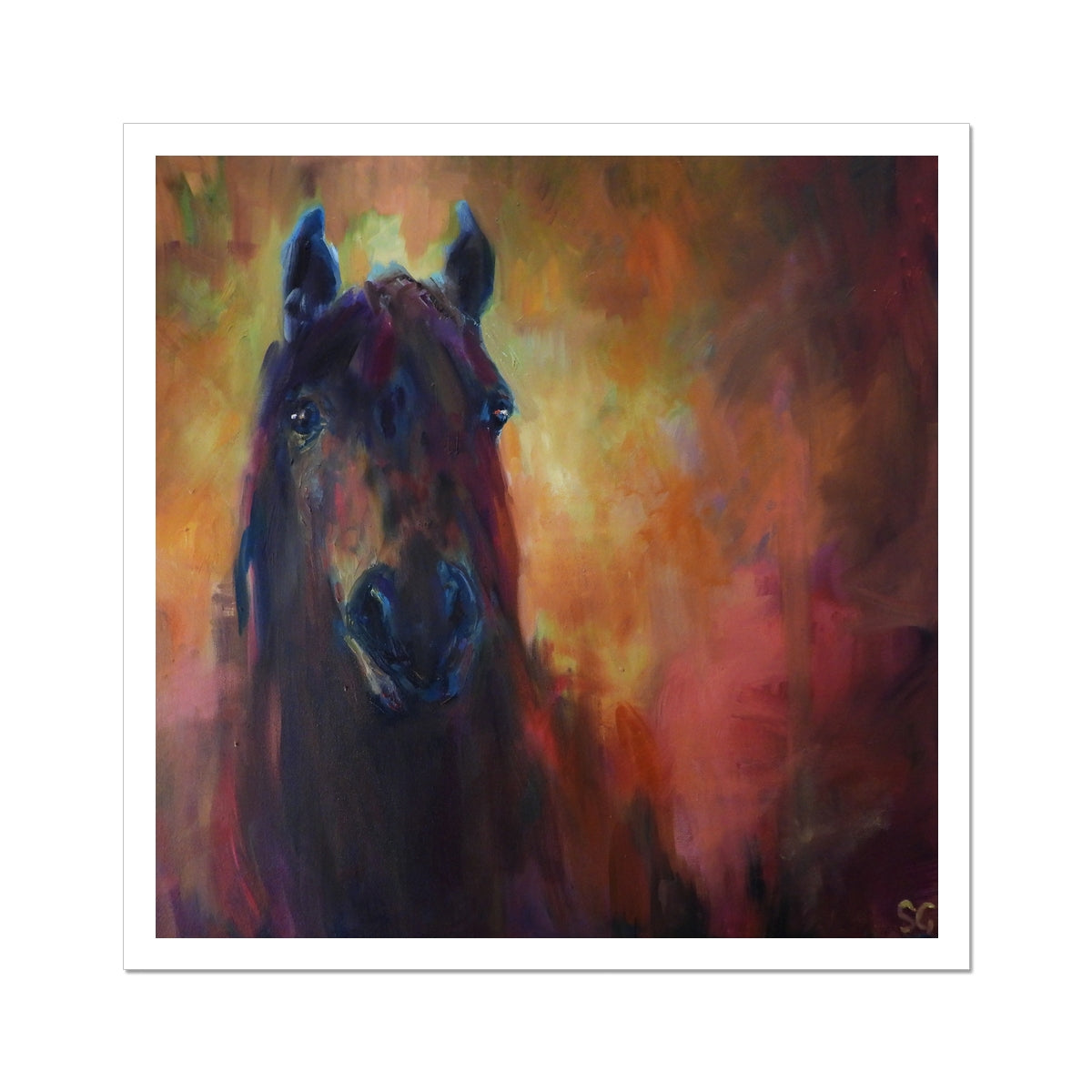 Wild Horse Hahnemühle German Etching Print - - susan gardner - uk artist - colourful animal art