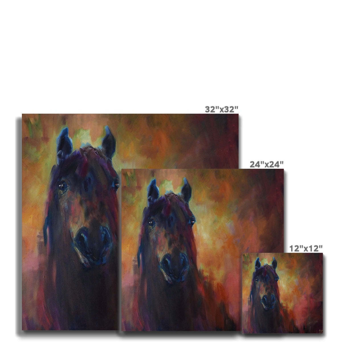 Wild Horse Canvas - - susan gardner - uk artist - colourful animal art