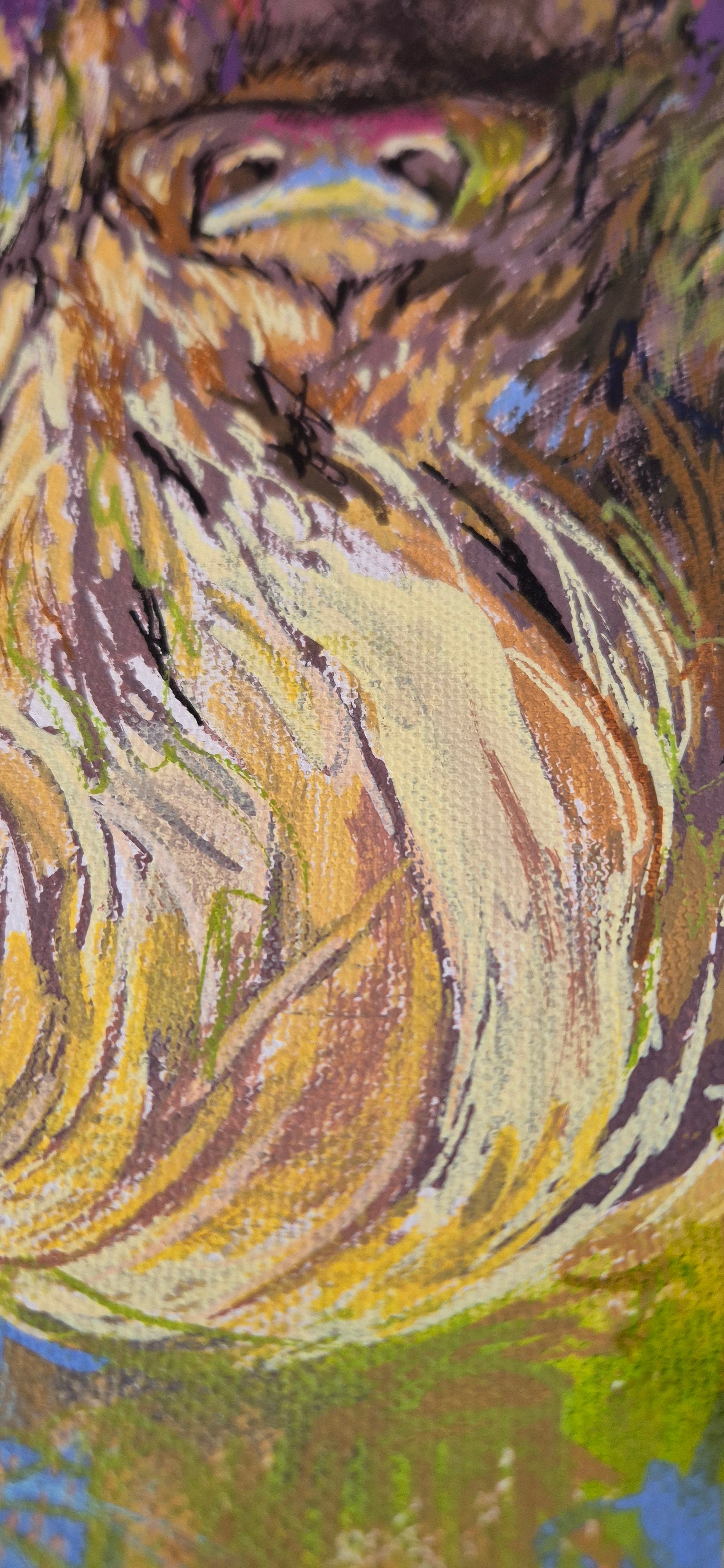 *Sold 'Highland Cow' Acrylic Drawing on Stretched Canvas 28 x 28 cm/ 11" x 11" - Animal Art by Susan Gardner - Contemporary Expressionist - Colourful Fine Art