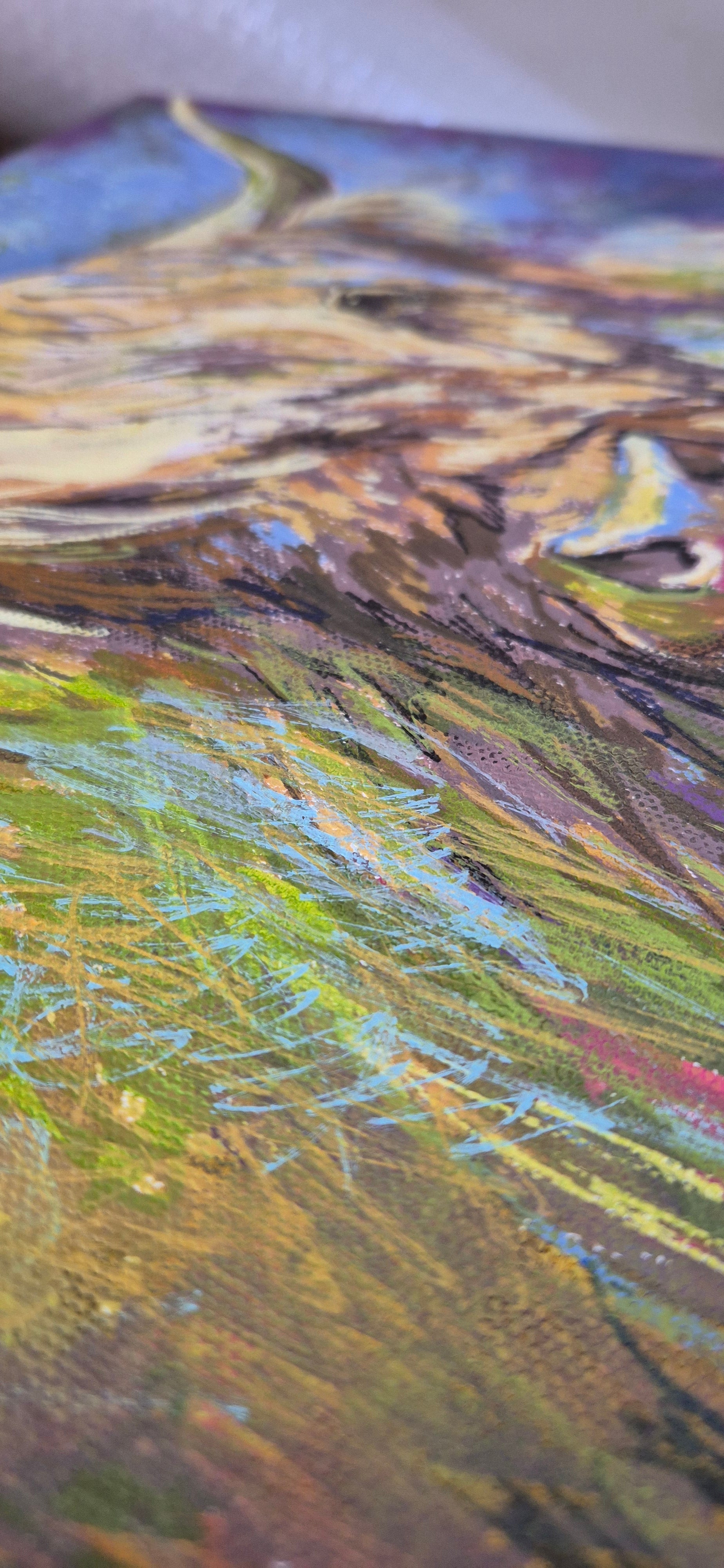 *Sold 'Highland Cow' Acrylic Drawing on Stretched Canvas 28 x 28 cm/ 11" x 11" - Animal Art by Susan Gardner - Contemporary Expressionist - Colourful Fine Art