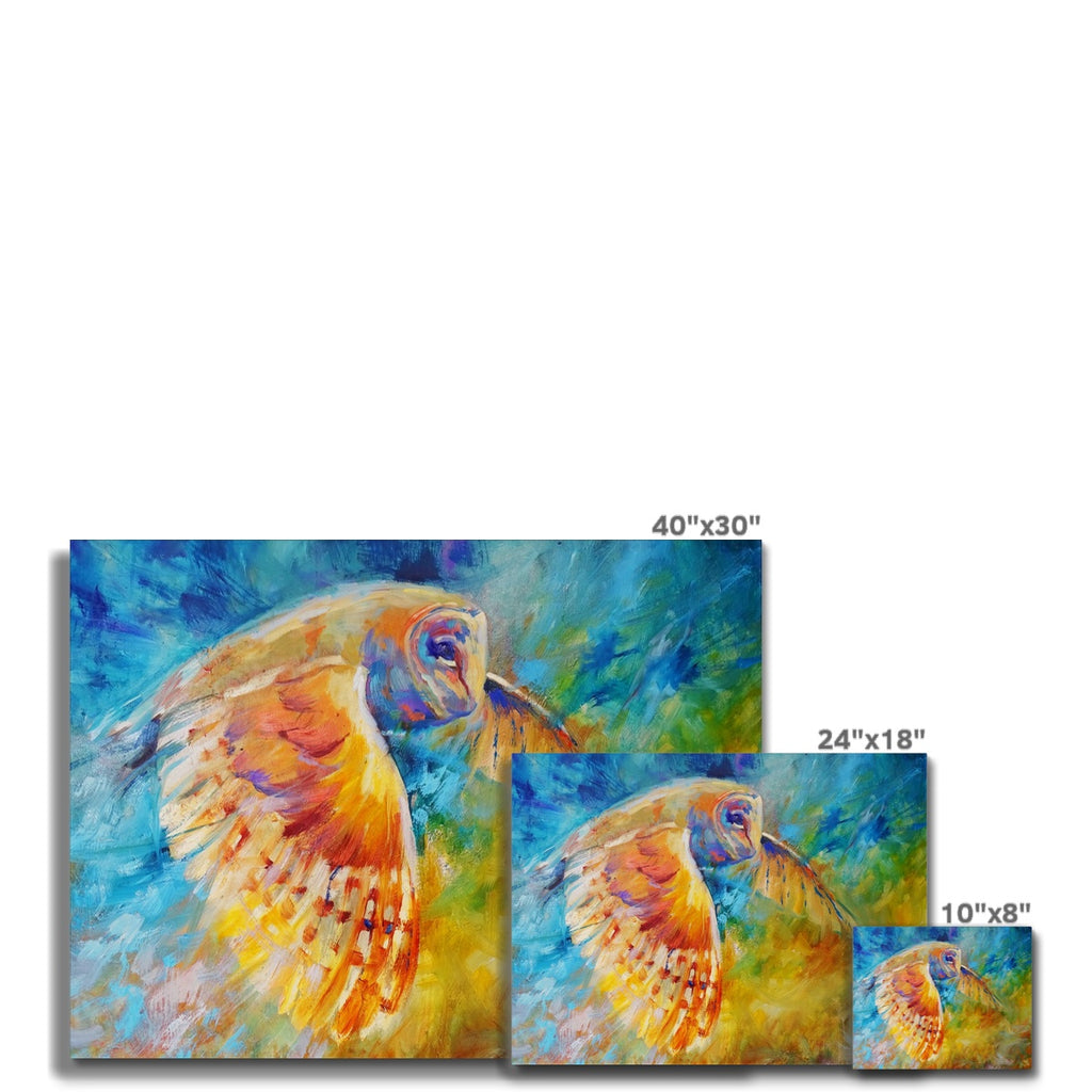 Owl in Flight Canvas - - susan gardner - uk artist - colourful animal art