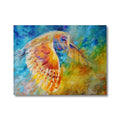 Owl in Flight Canvas - - susan gardner - uk artist - colourful animal art