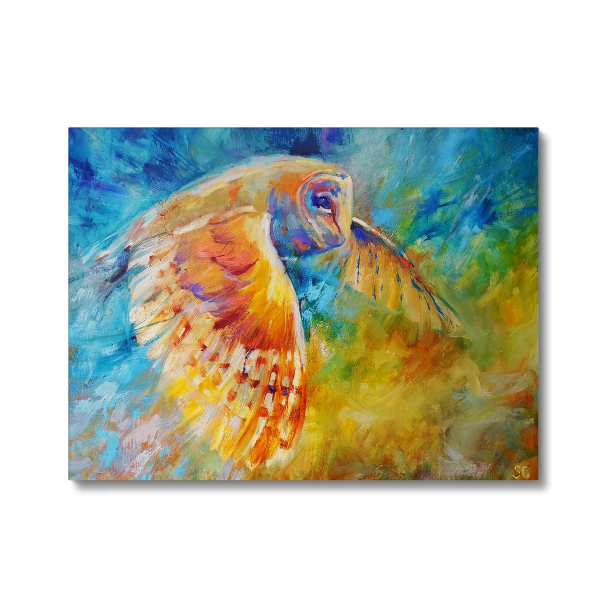 Owl in Flight Canvas - - susan gardner - uk artist - colourful animal art