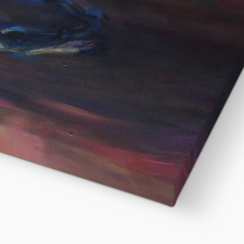 Wild Horse Canvas - - susan gardner - uk artist - colourful animal art