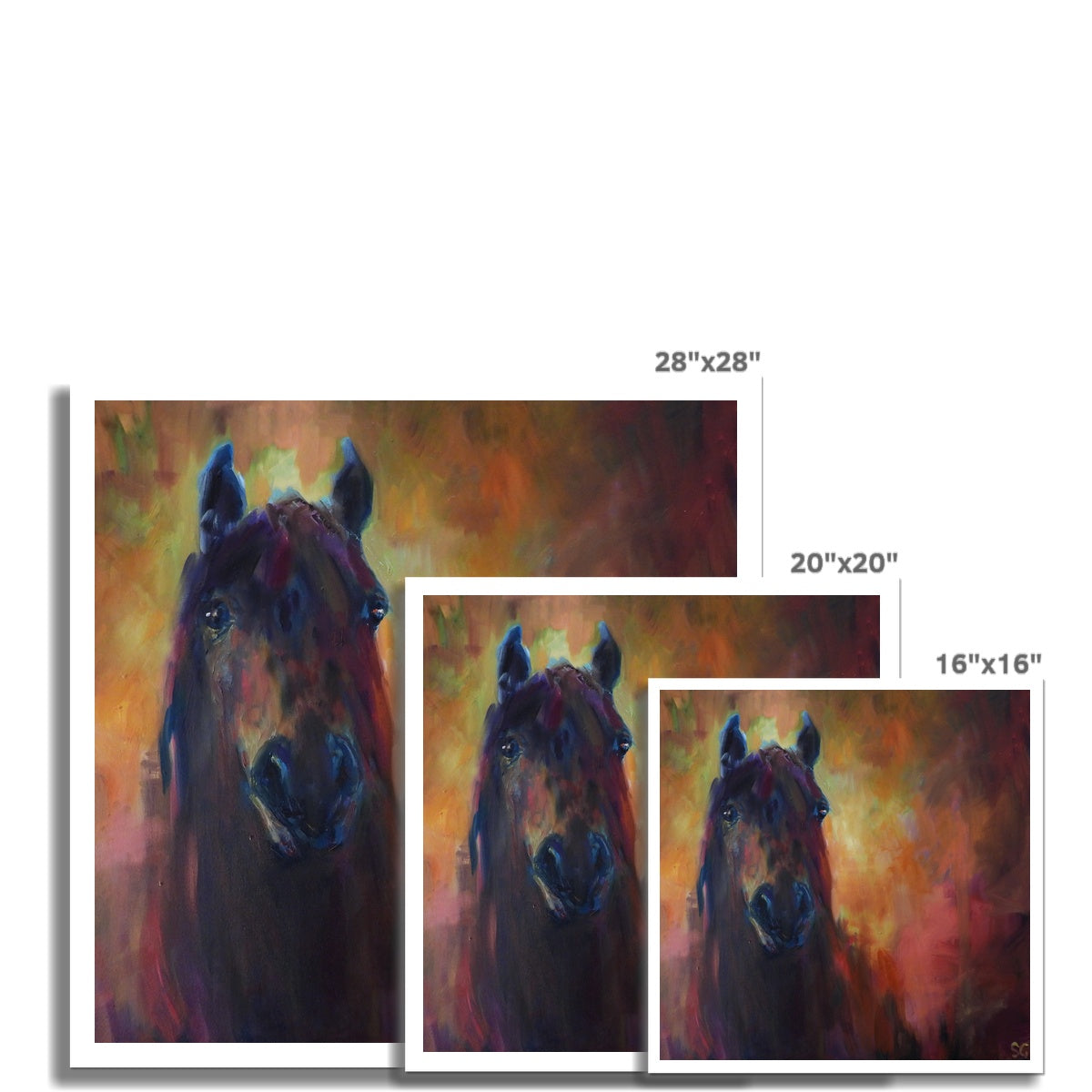 Wild Horse Hahnemühle German Etching Print - - susan gardner - uk artist - colourful animal art