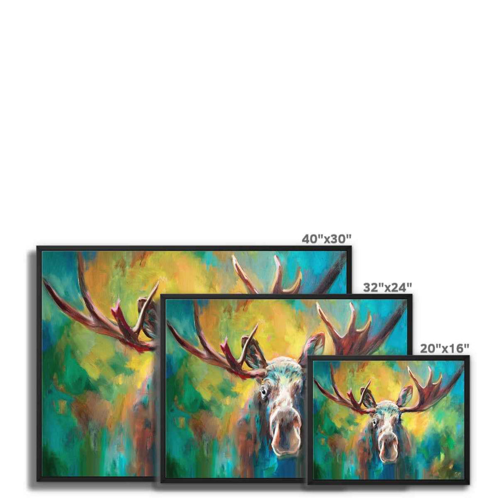 Moose Encounter Framed Canvas