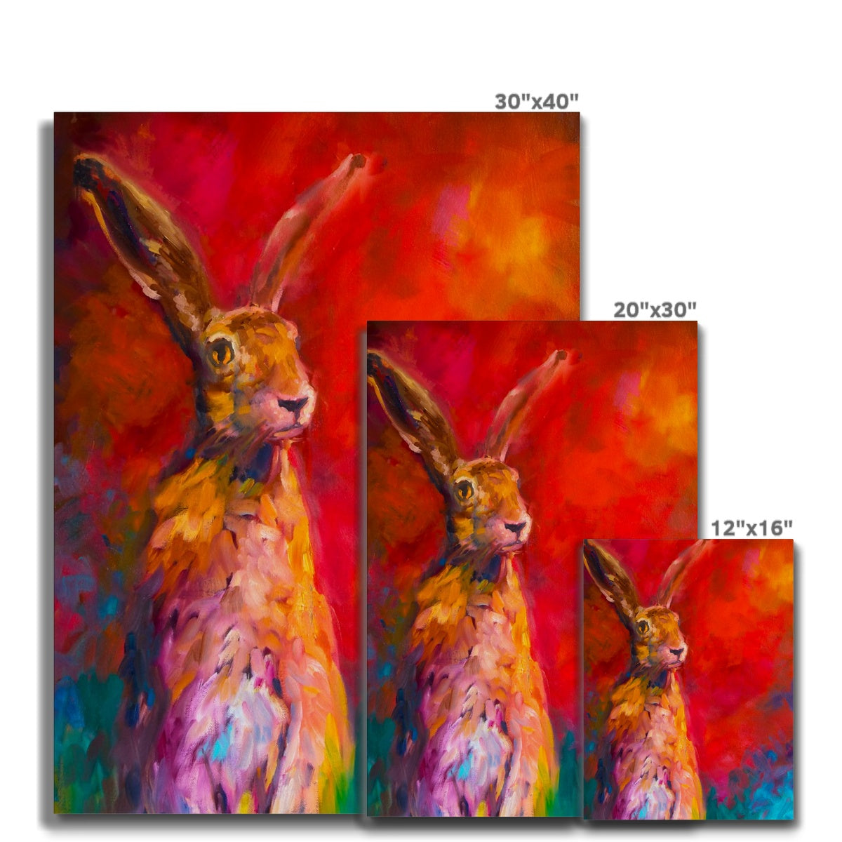Gentleman Caller Canvas - - susan gardner - uk artist - colourful animal art