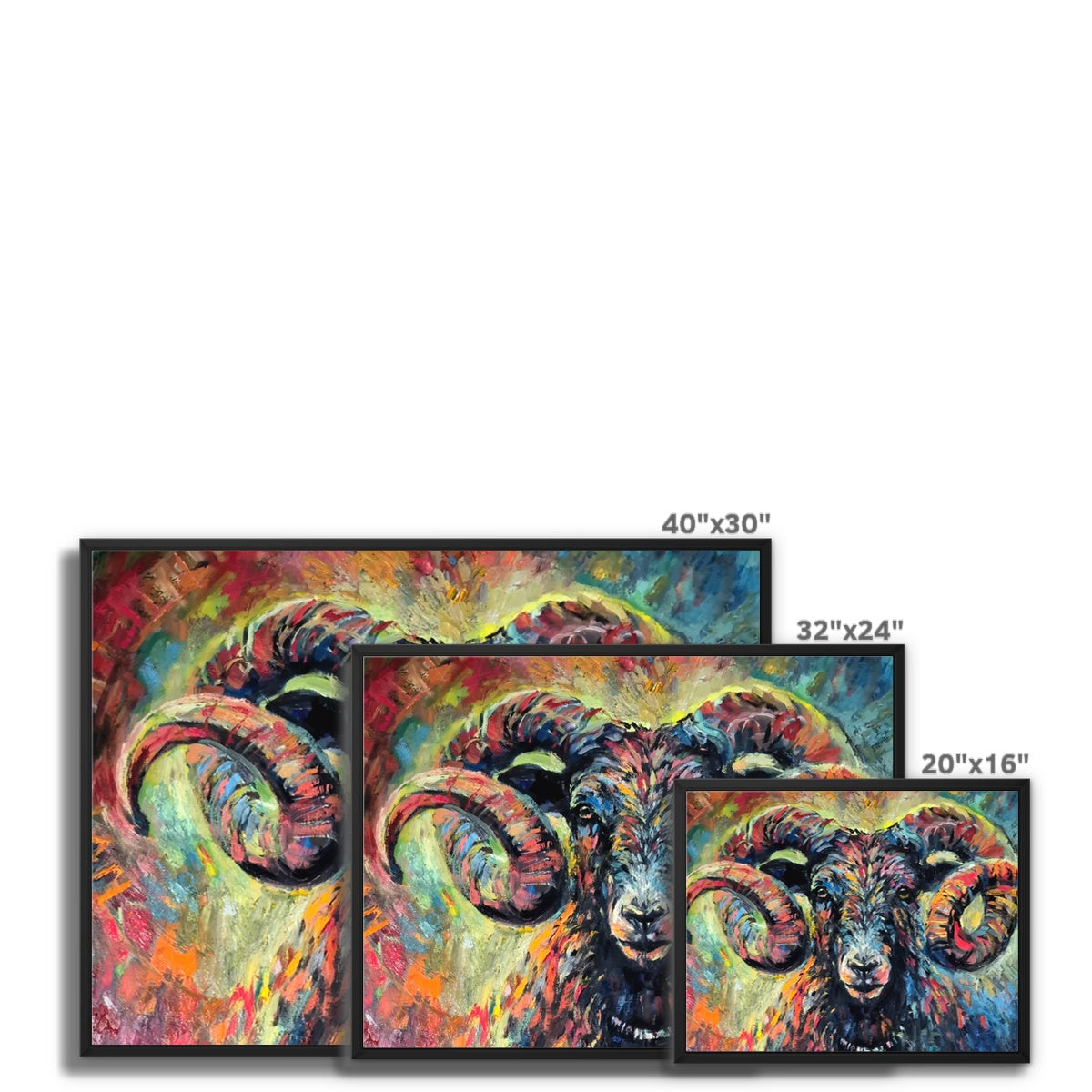 Ironside - framed sheep art by susan gardner - ram fine art prints