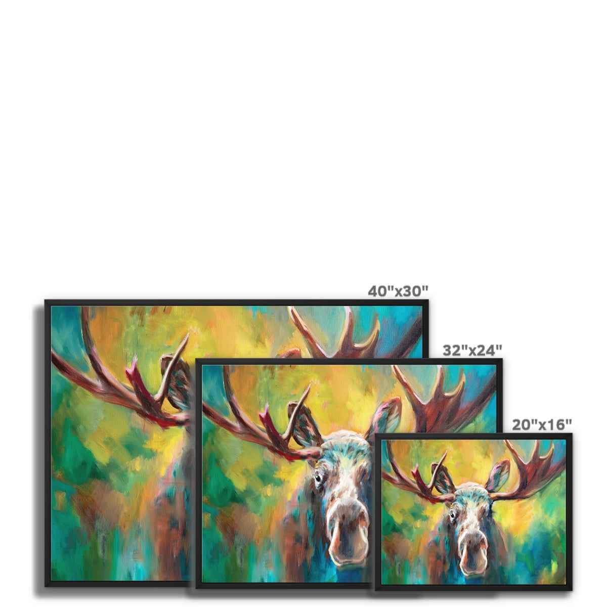 Moose Encounter Framed Canvas