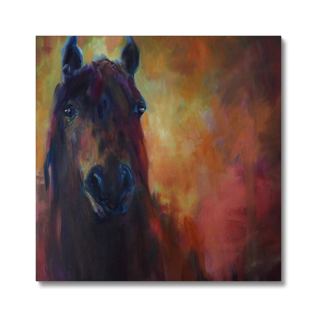 Wild Horse Canvas - - susan gardner - uk artist - colourful animal art
