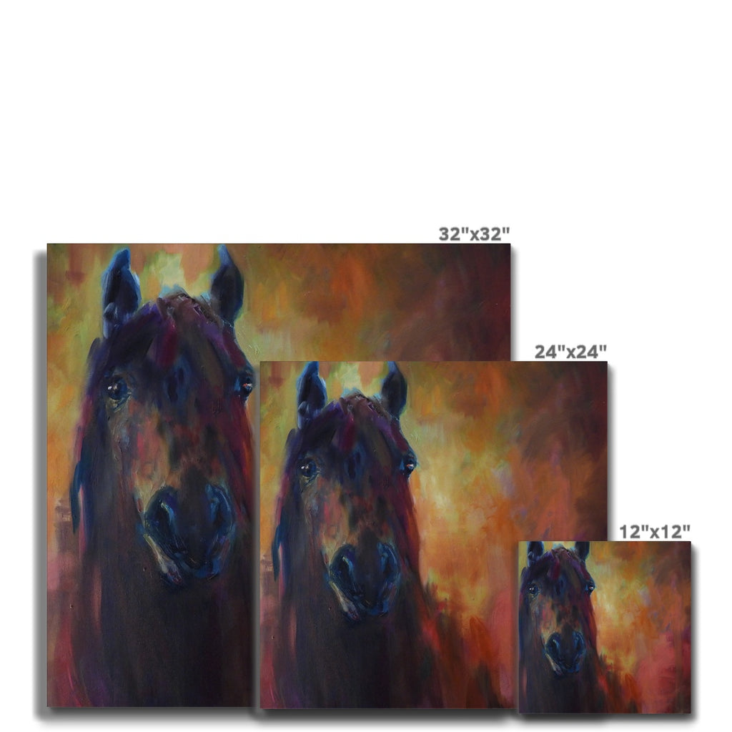 Wild Horse Canvas - - susan gardner - uk artist - colourful animal art