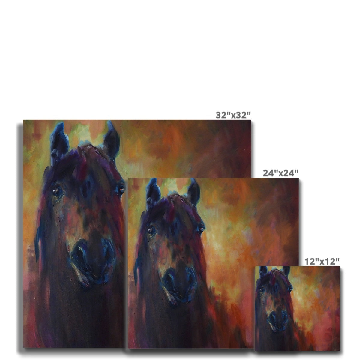 Wild Horse Canvas - - susan gardner - uk artist - colourful animal art