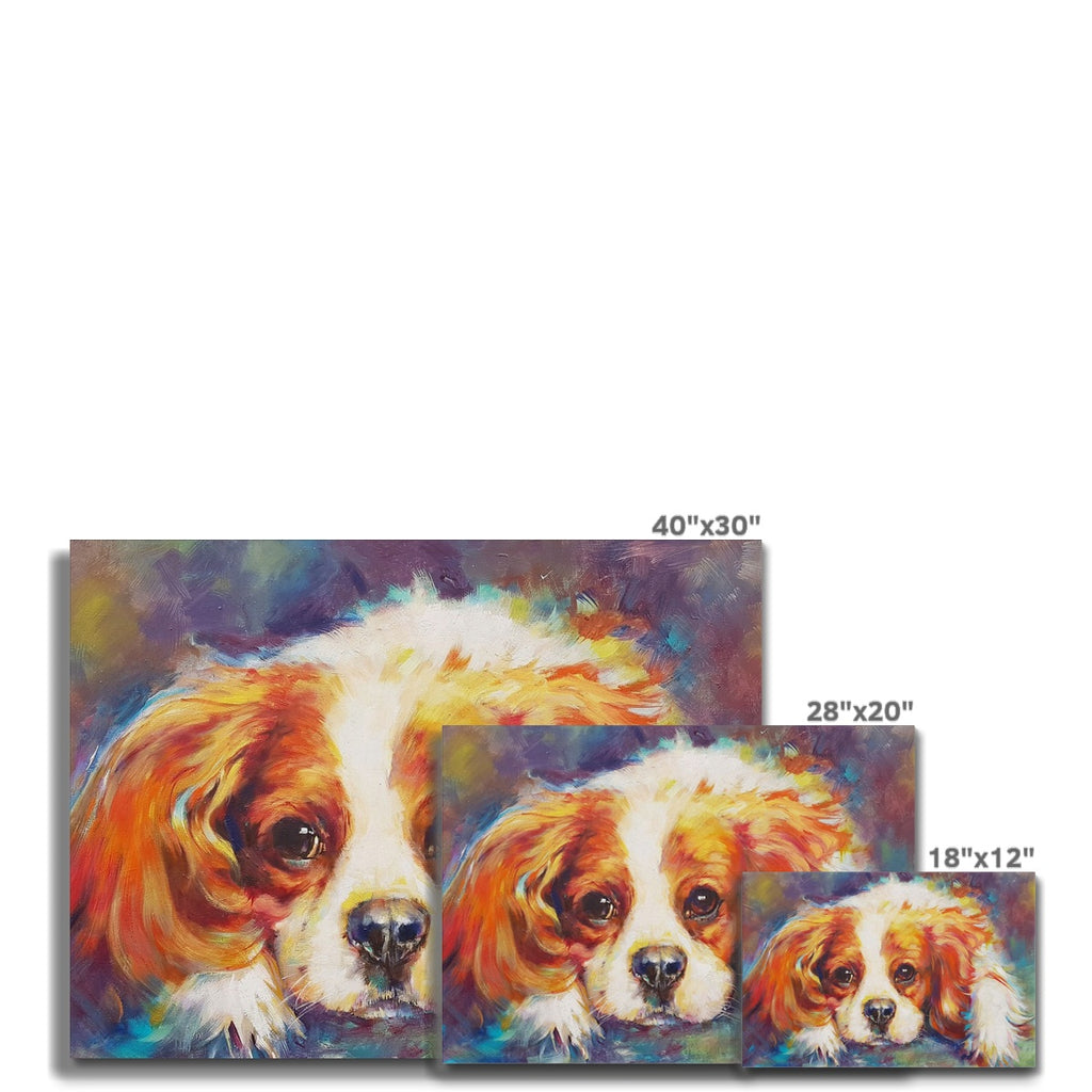 Blenheim Canvas - Animal Art by Susan Gardner - Contemporary Expressionist - Colourful Fine Art