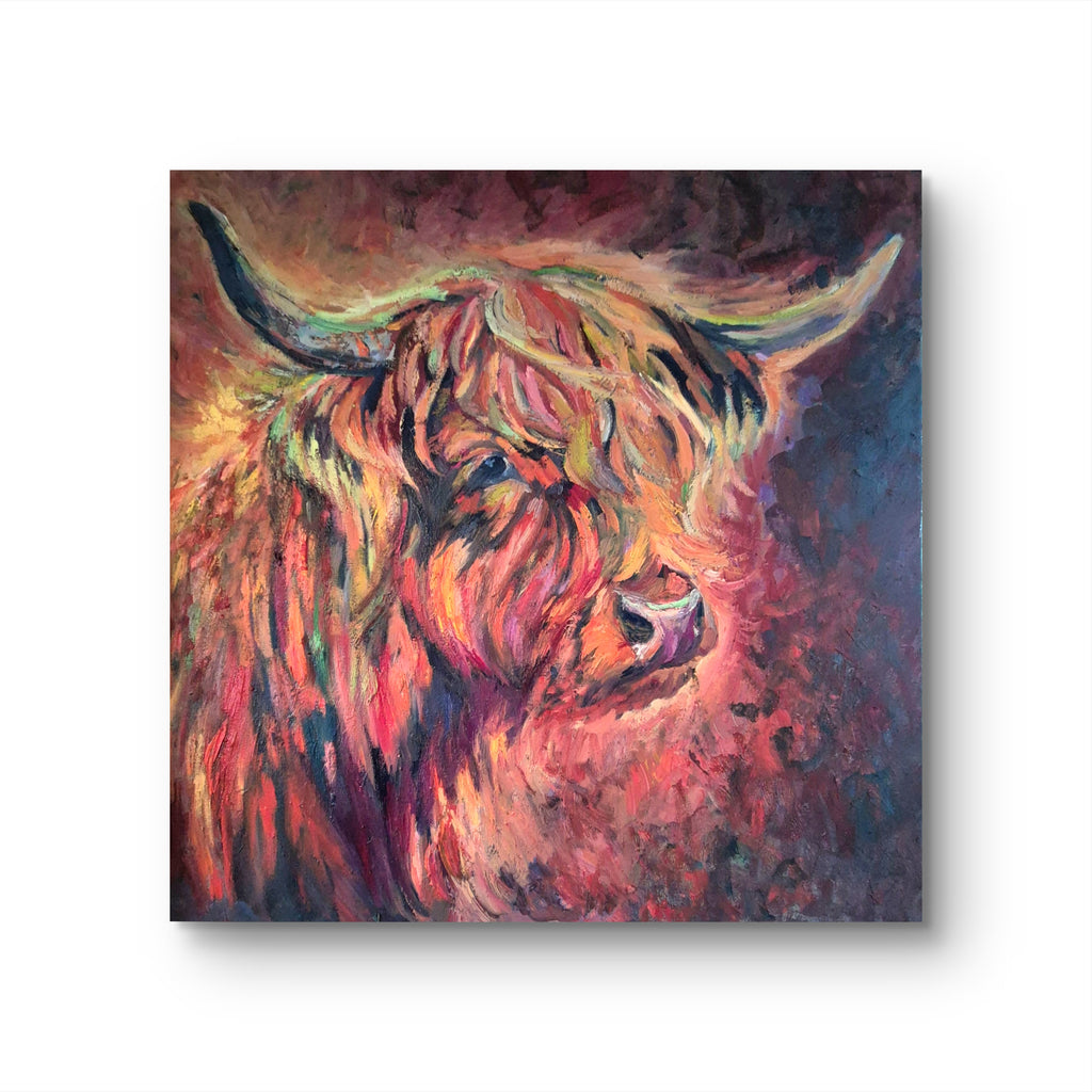 Colorful painting of a highland cow on a white background