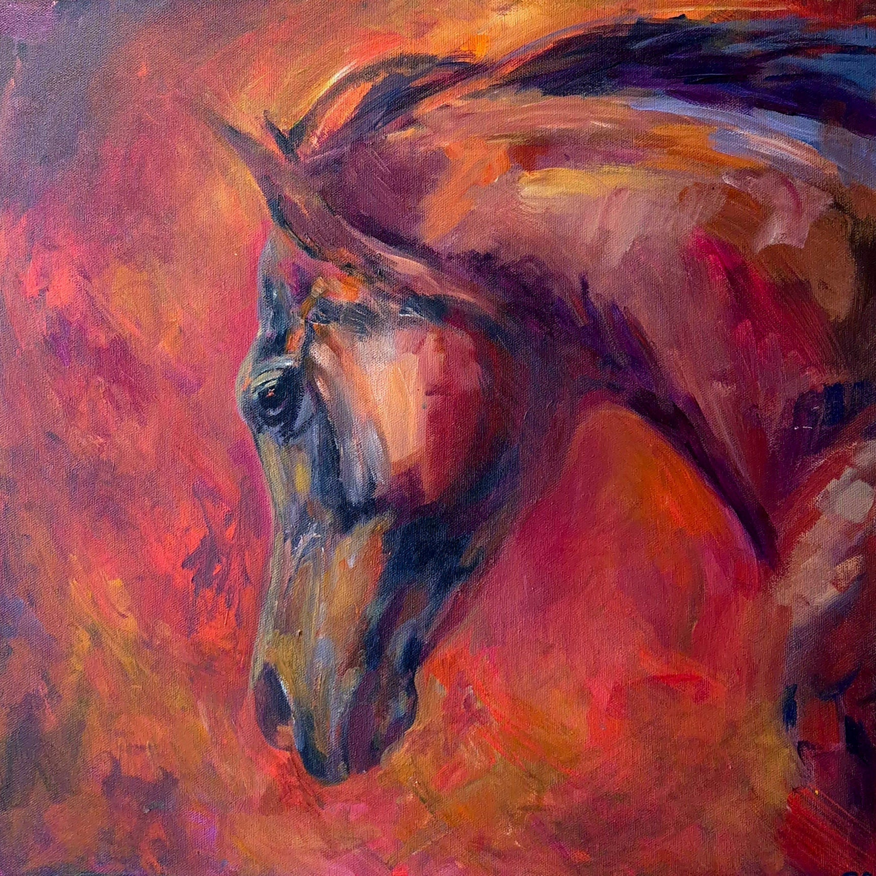Running Wild - Original Horse Painting - 50 x 50 cm/20 x 20 " - Animal Art by Susan Gardner - Contemporary Expressionist - Colourful Fine Art