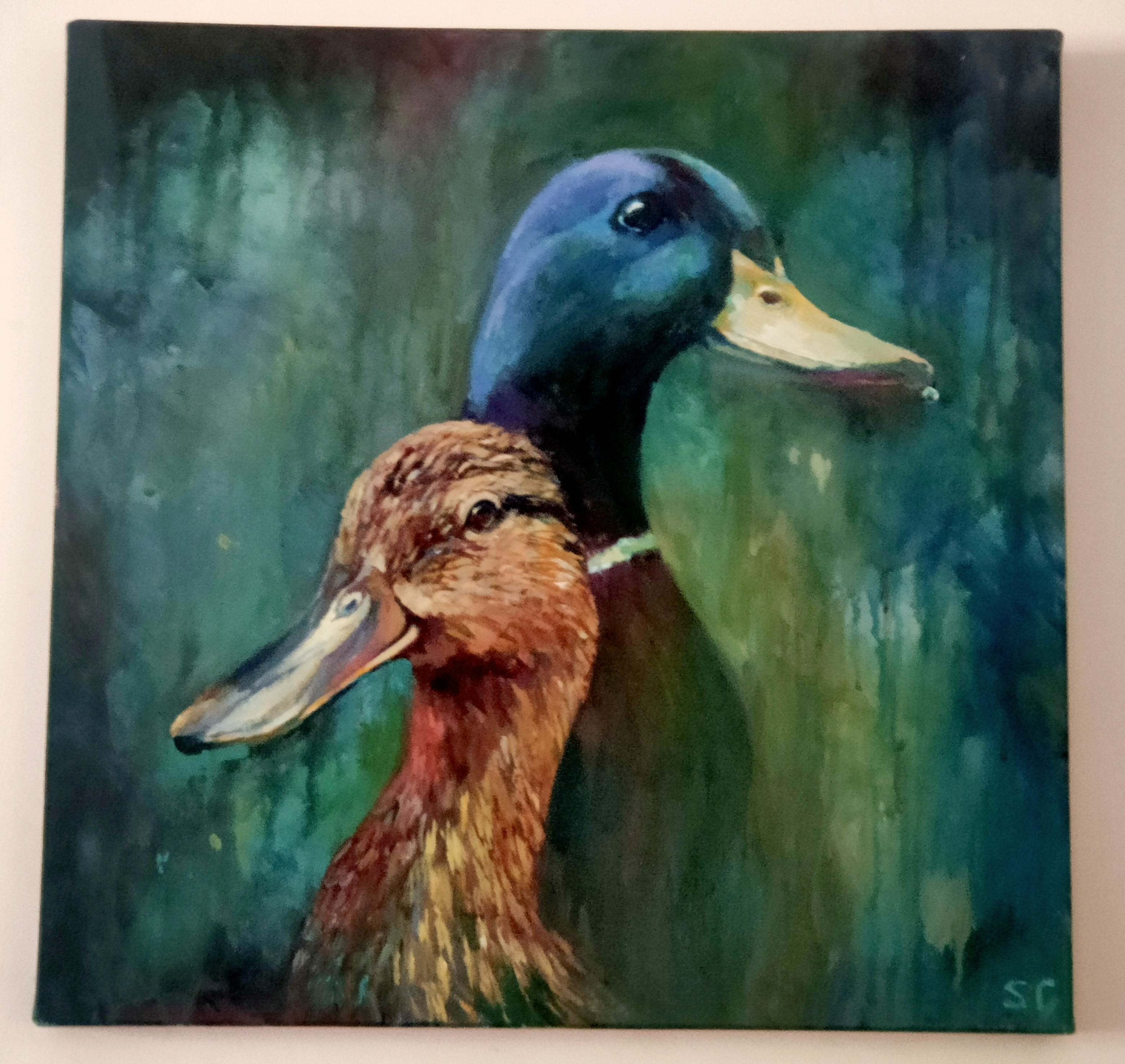 Sold* ' Puddle Ducks' - Original Painting 50 x 50 cm/ 20 x 20" - Animal Art by Susan Gardner - Contemporary Expressionist - Colourful Fine Art
