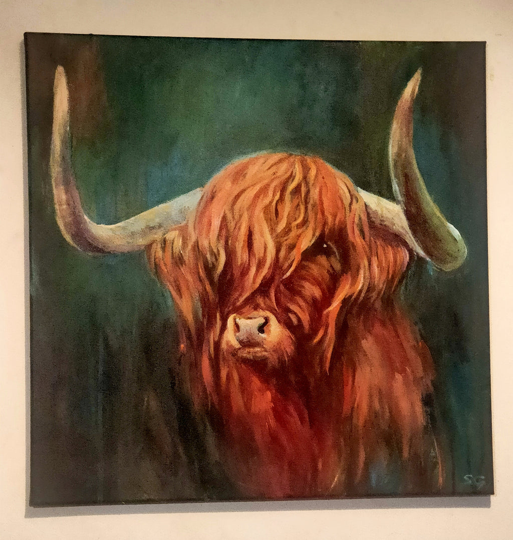*Sold* 'Fraser' - Highland Bull Painting 50 x 50 cm/ 20 x 20" - Animal Art by Susan Gardner - Contemporary Expressionist - Colourful Fine Art