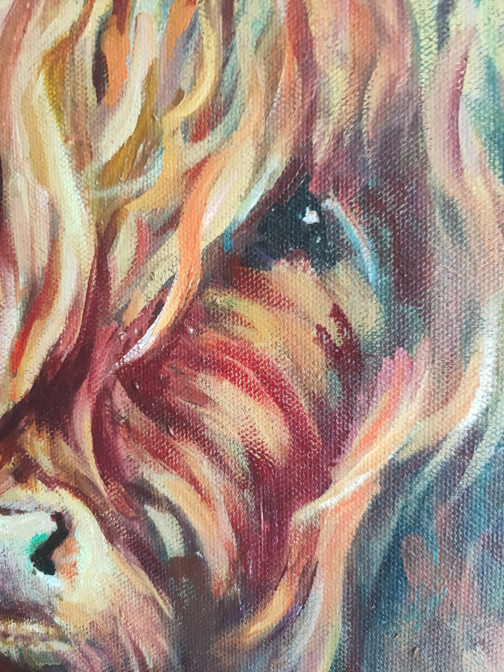 *Sold* 'Fraser' - Highland Bull Painting 50 x 50 cm/ 20 x 20" - Animal Art by Susan Gardner - Contemporary Expressionist - Colourful Fine Art
