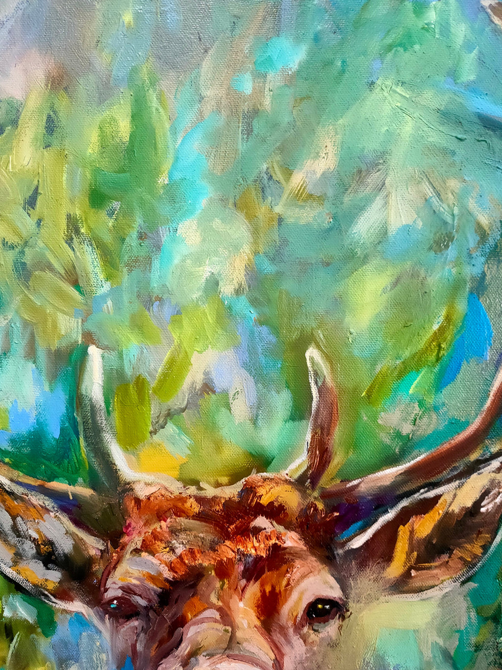 Sold* Dante - Original Stag Oil Painting - 60 x 60 cm /24 x 24 “ - Animal Art by Susan Gardner - Contemporary Expressionist - Colourful Fine Art