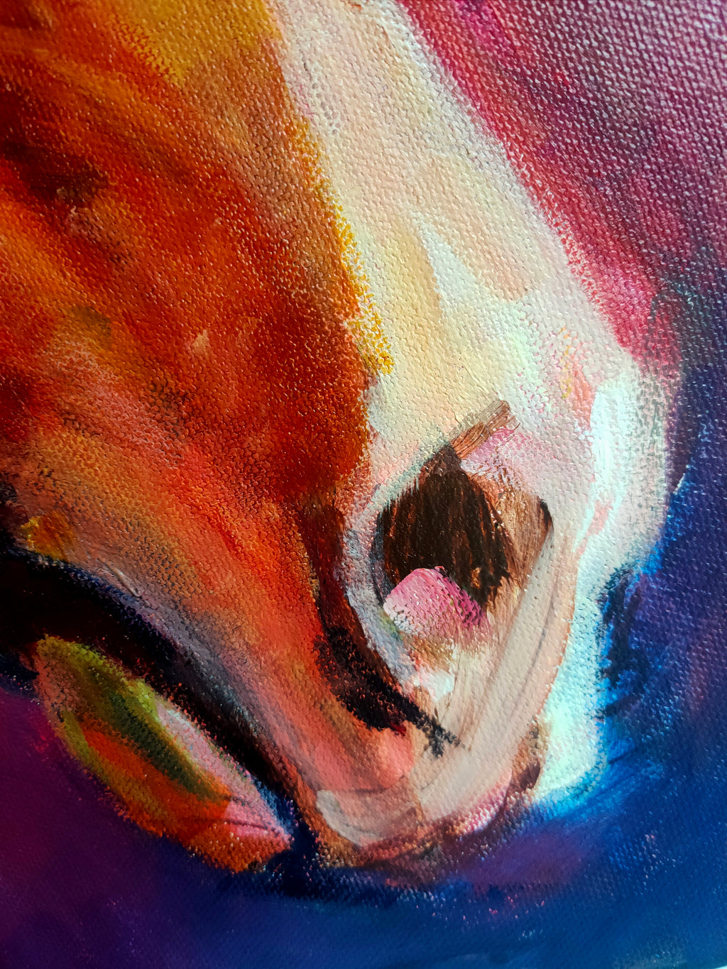 *Sold 'Rubin' - 50 x 50 cm/20 x 20 " Original Horse Painting - Animal Art by Susan Gardner - Contemporary Expressionist - Colourful Fine Art