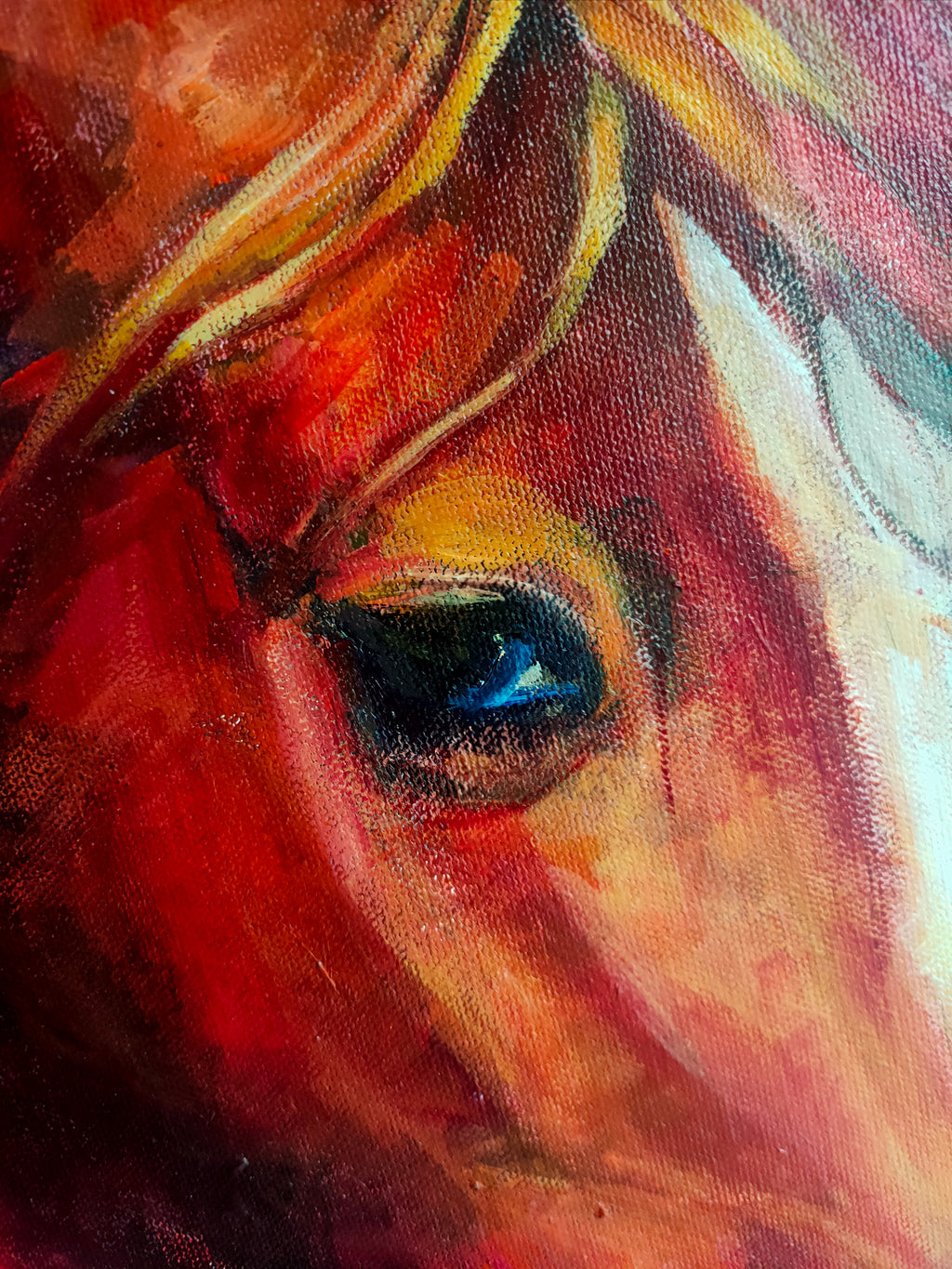 *Sold 'Rubin' - 50 x 50 cm/20 x 20 " Original Horse Painting - Animal Art by Susan Gardner - Contemporary Expressionist - Colourful Fine Art