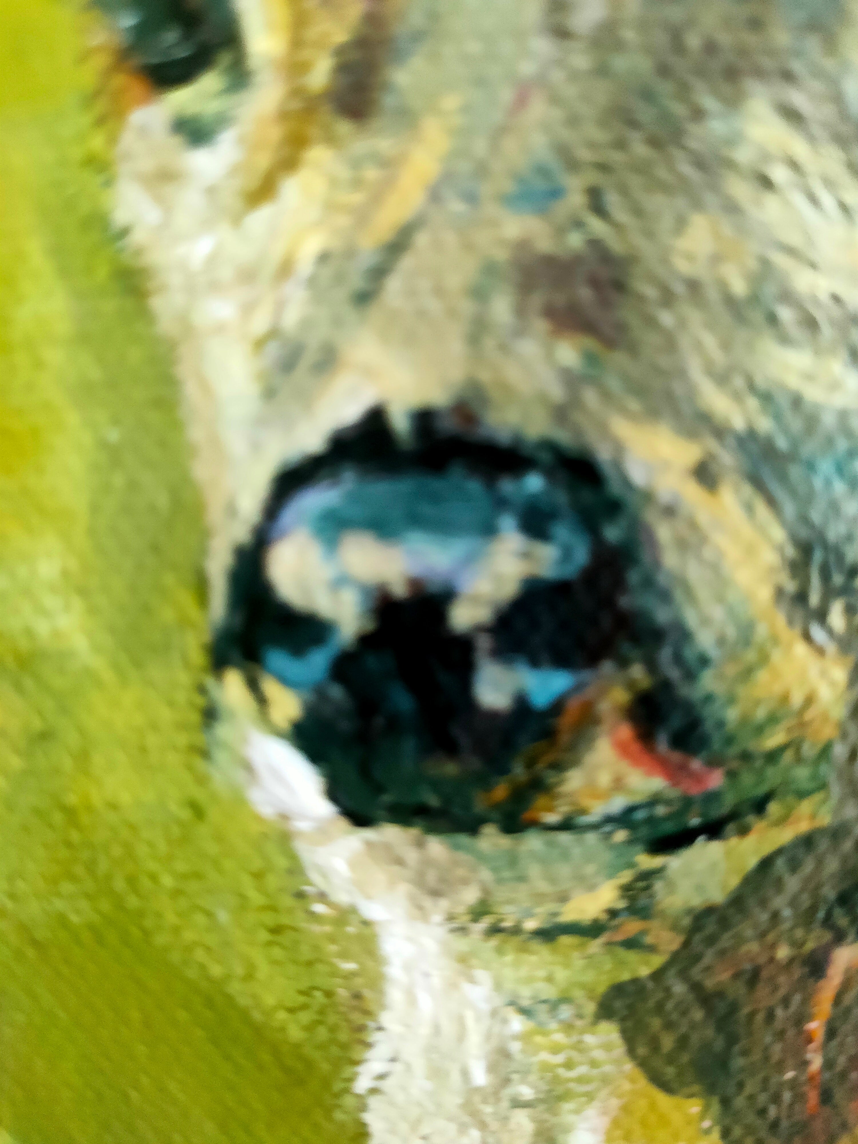 *Sold* Peace - Animal Art by Susan Gardner - Contemporary Expressionist - Colourful Fine Art