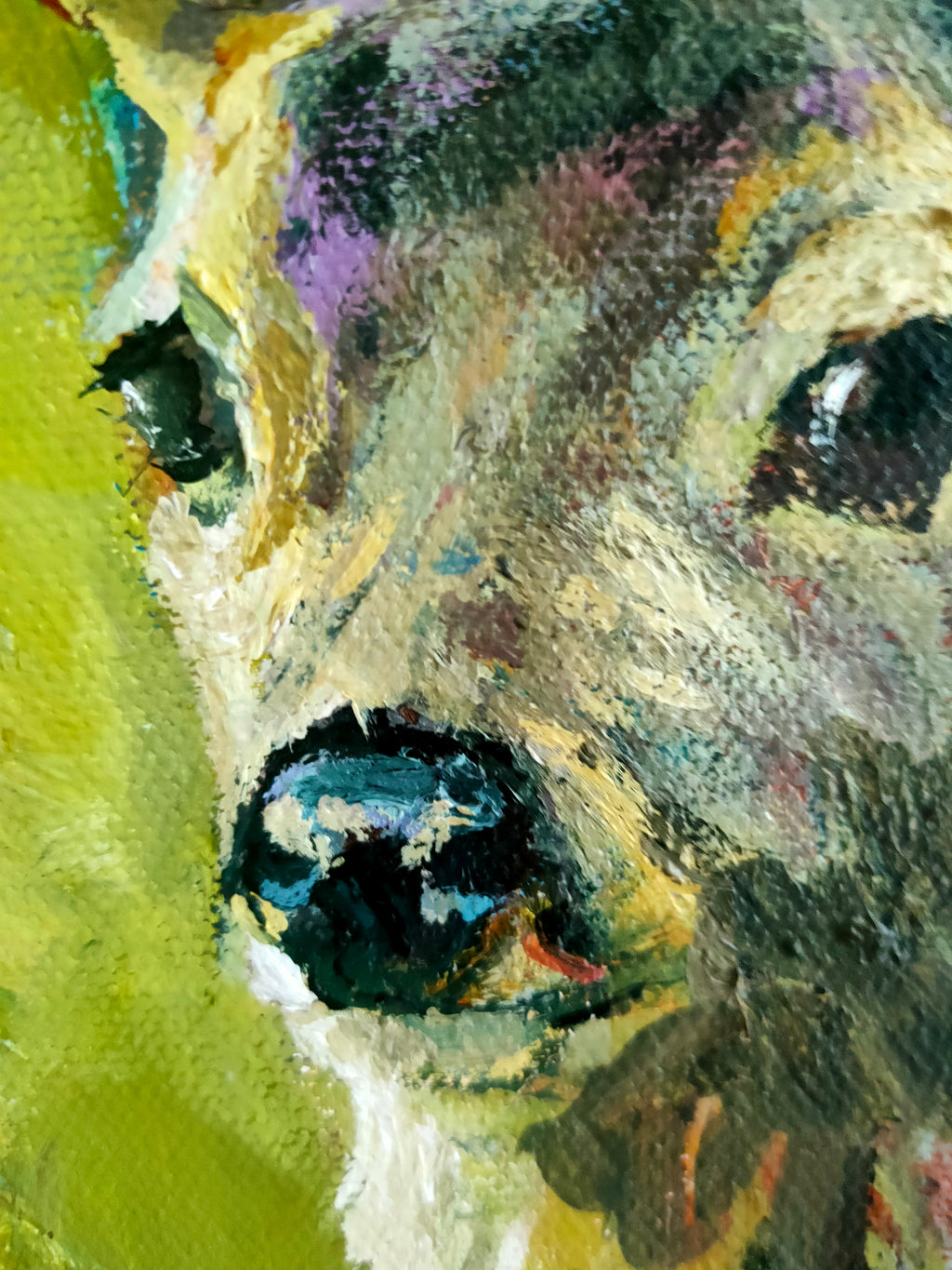 *Sold* Peace - Animal Art by Susan Gardner - Contemporary Expressionist - Colourful Fine Art