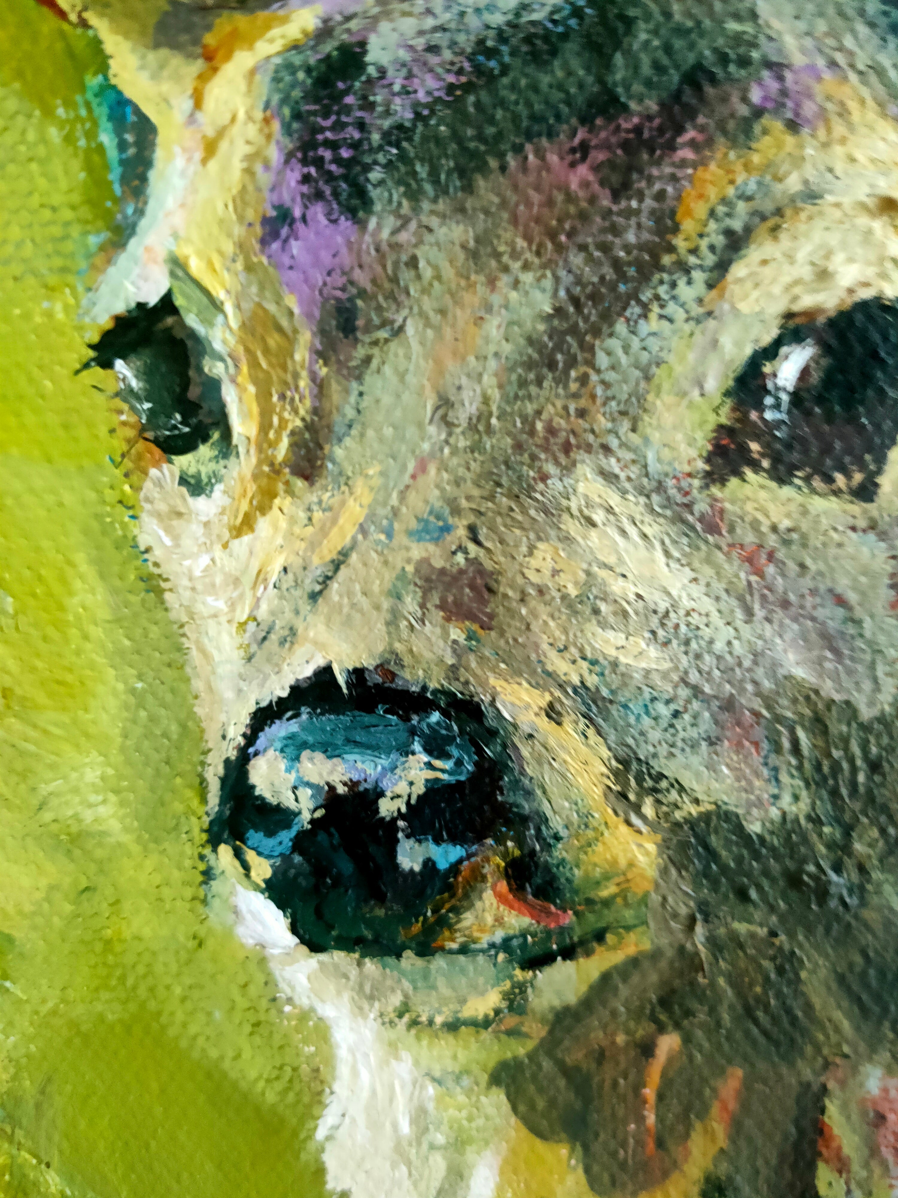 *Sold* Peace - Animal Art by Susan Gardner - Contemporary Expressionist - Colourful Fine Art