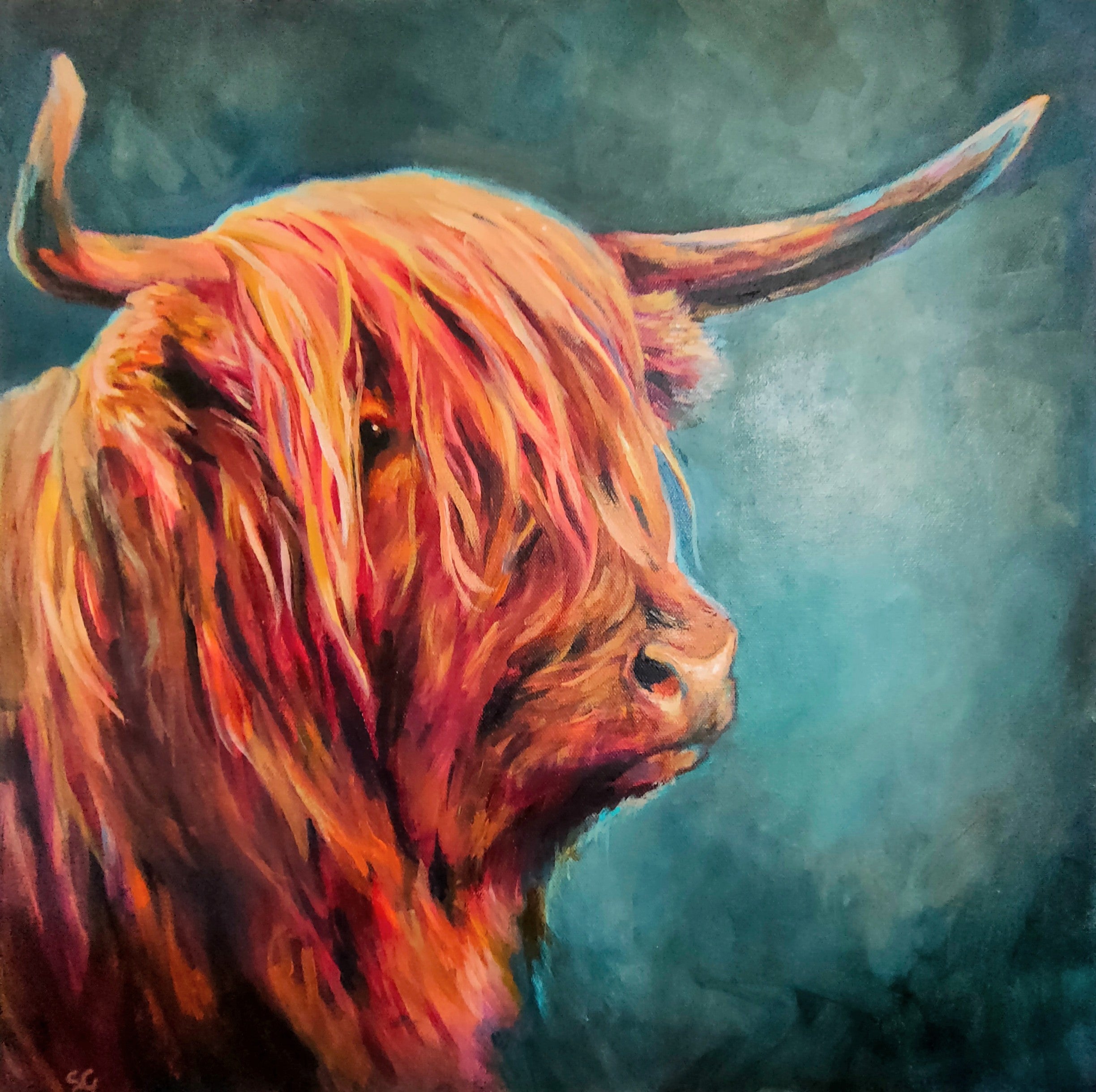 *Sold* Macallan - Highland Bull Painting 50 x 50 cm/ 20 x 20" - Animal Art by Susan Gardner - Contemporary Expressionist - Colourful Fine Art