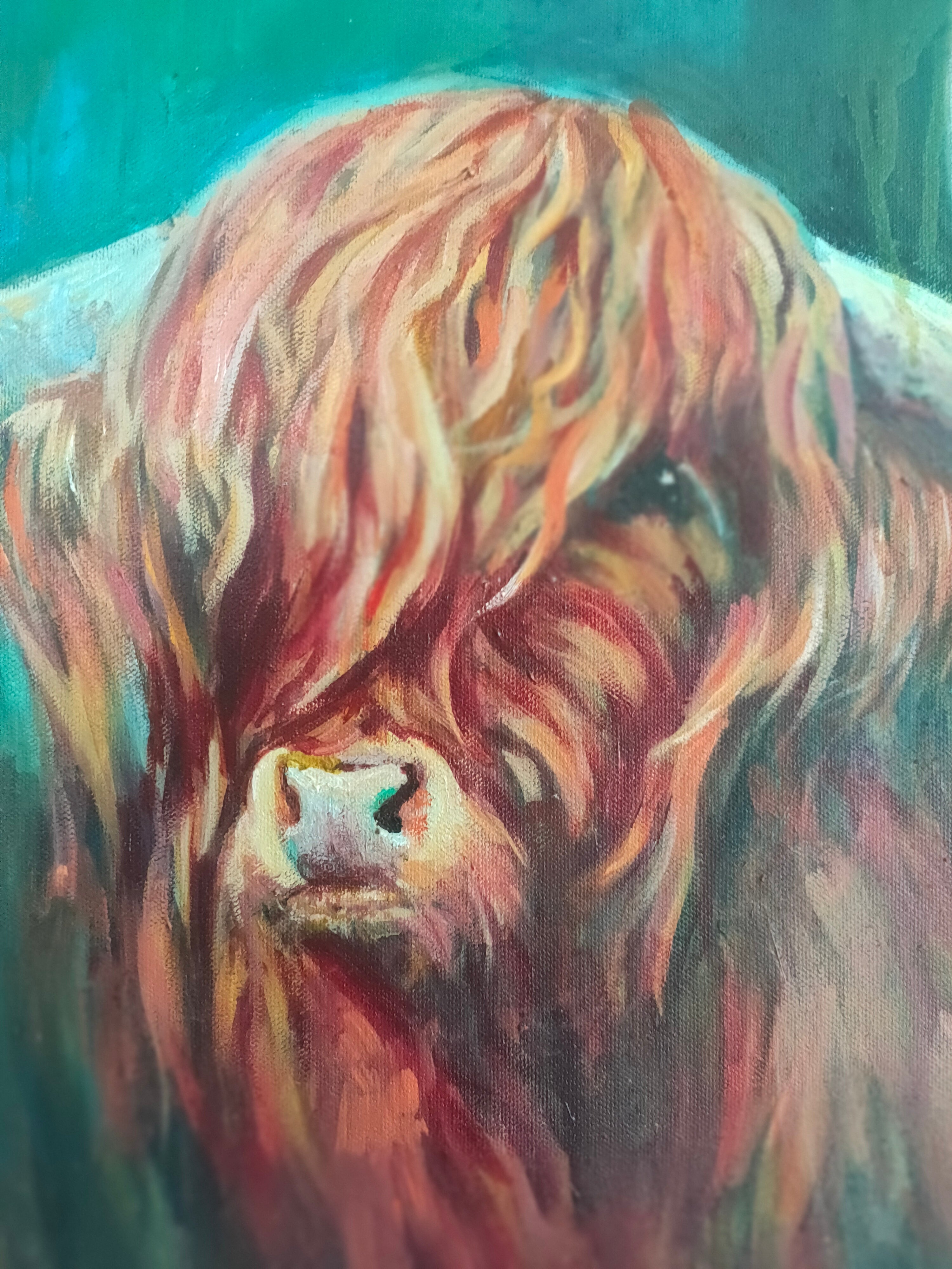 *Sold* 'Fraser' - Highland Bull Painting 50 x 50 cm/ 20 x 20" - Animal Art by Susan Gardner - Contemporary Expressionist - Colourful Fine Art