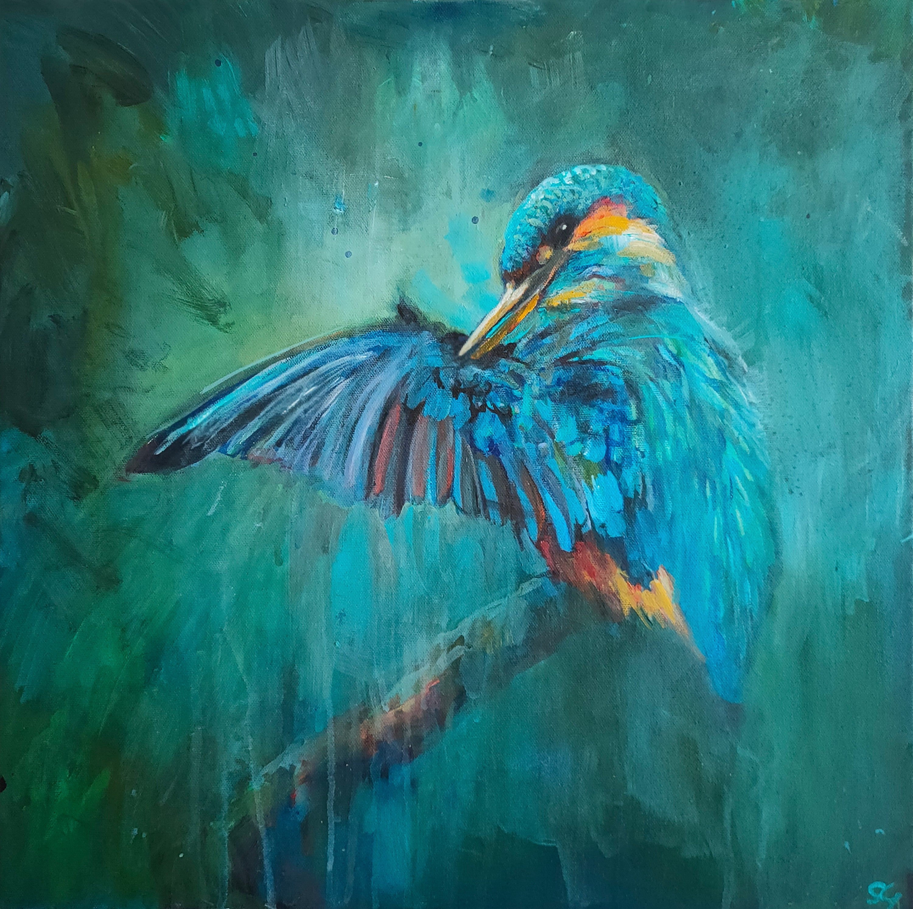 * sold*'April Shower' - Original Kingfisher Painting 50 x 50 cm/ 20 x 20" - Animal Art by Susan Gardner - Contemporary Expressionist - Colourful Fine Art