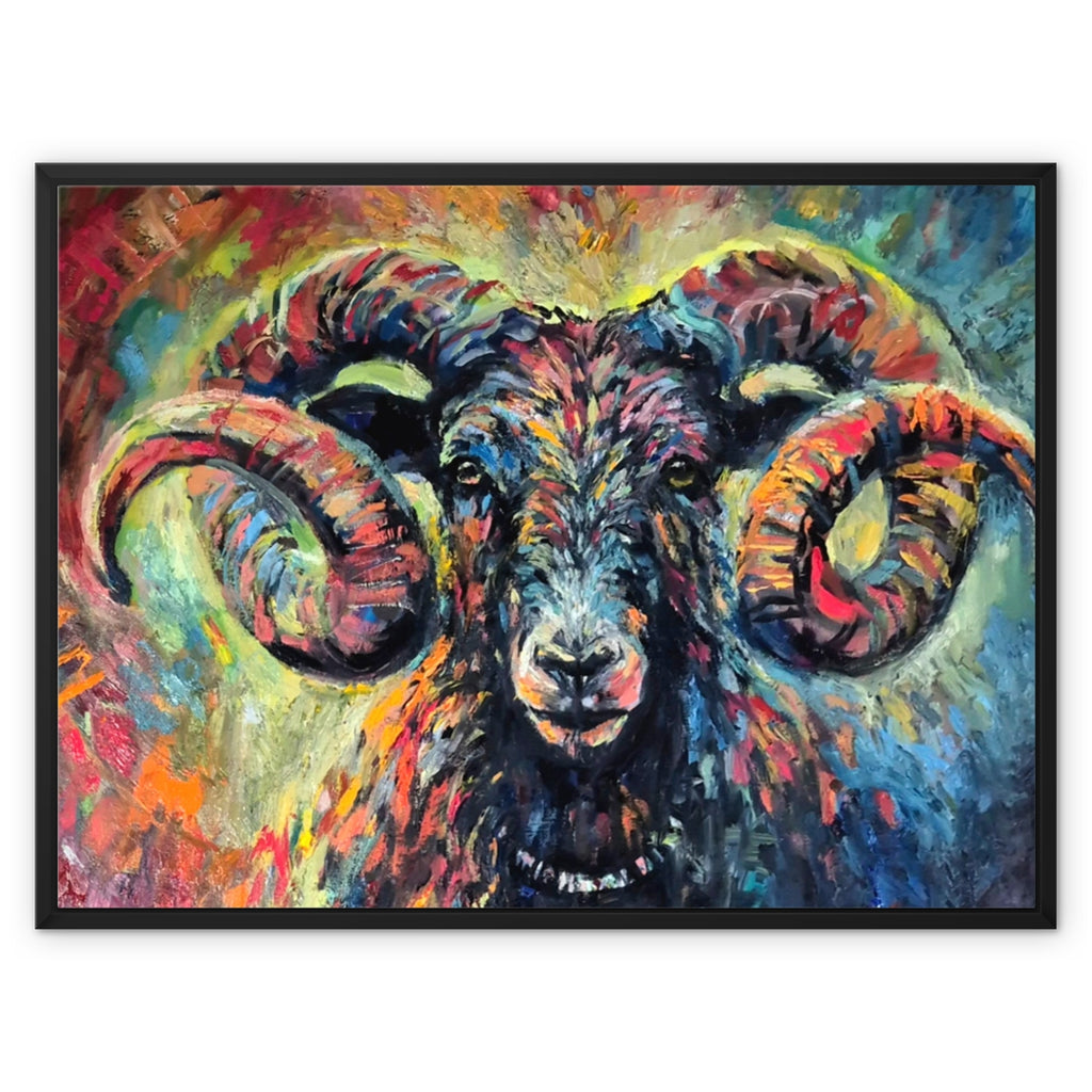 Ironside - framed sheep art by susan gardner - ram fine art prints