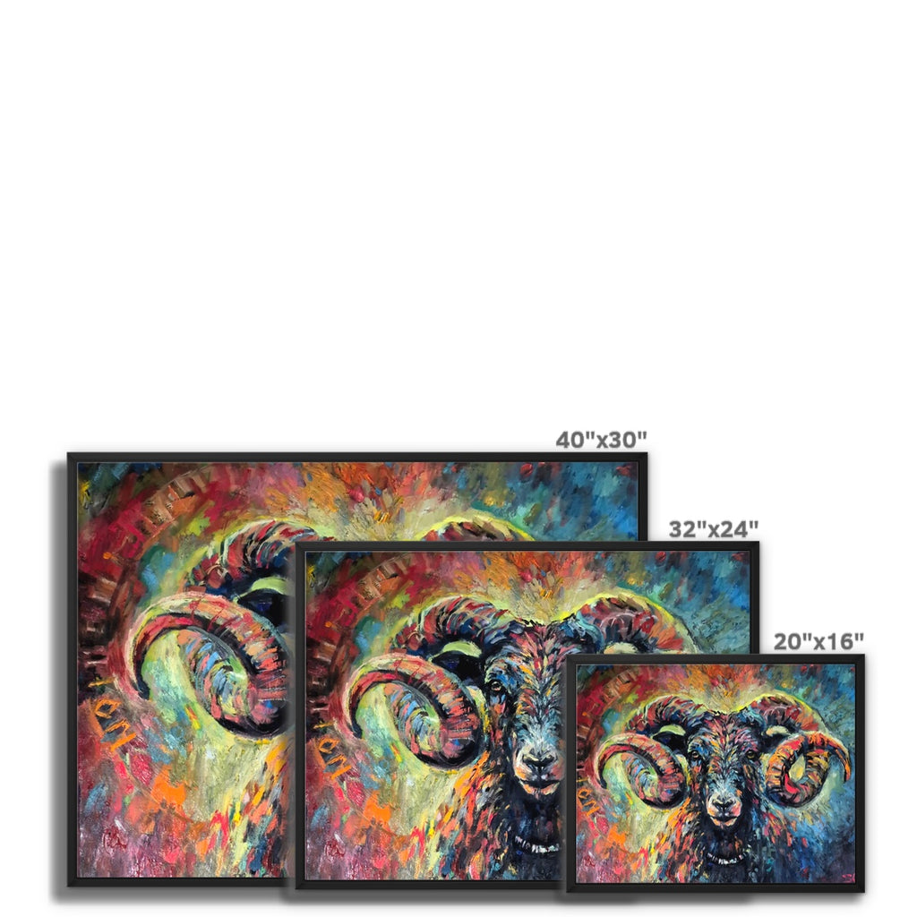 Ironside - framed sheep art by susan gardner - ram fine art prints