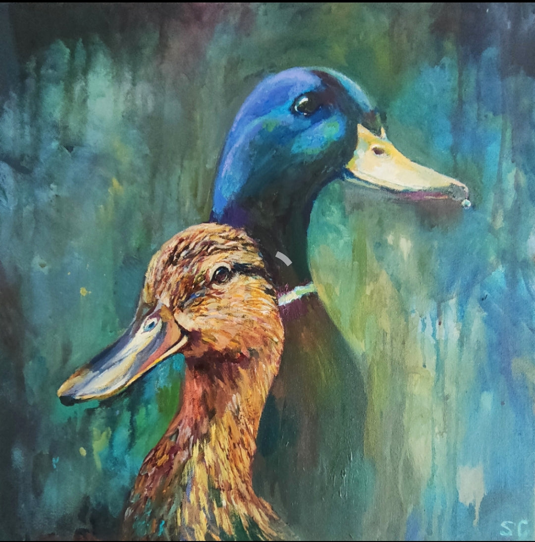 Sold* ' Puddle Ducks' - Original Painting 50 x 50 cm/ 20 x 20" - Animal Art by Susan Gardner - Contemporary Expressionist - Colourful Fine Art