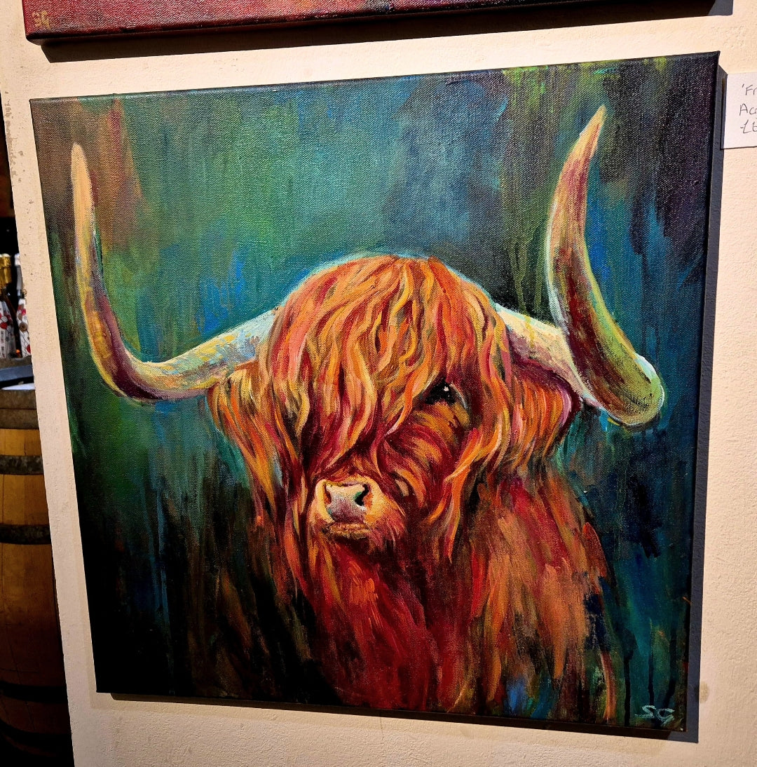*Sold* 'Fraser' - Highland Bull Painting 50 x 50 cm/ 20 x 20" - Animal Art by Susan Gardner - Contemporary Expressionist - Colourful Fine Art