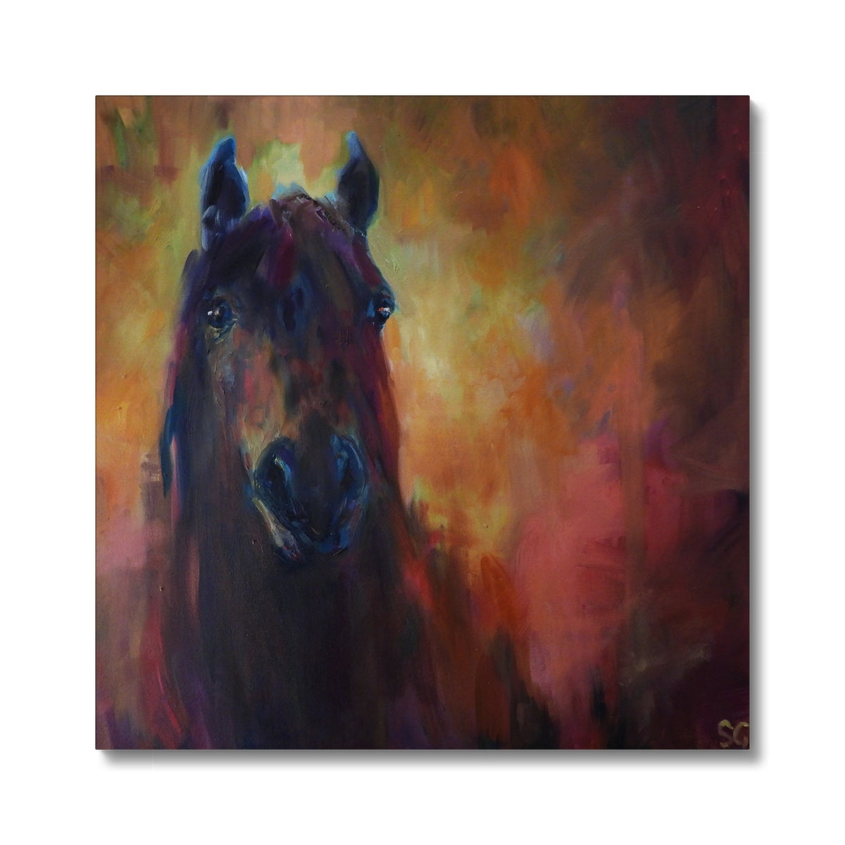 Wild Horse Canvas - - susan gardner - uk artist - colourful animal art