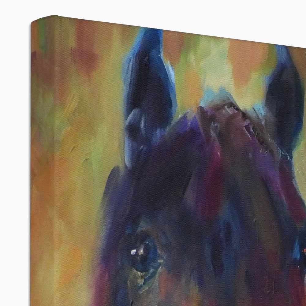 Wild Horse Canvas - - susan gardner - uk artist - colourful animal art