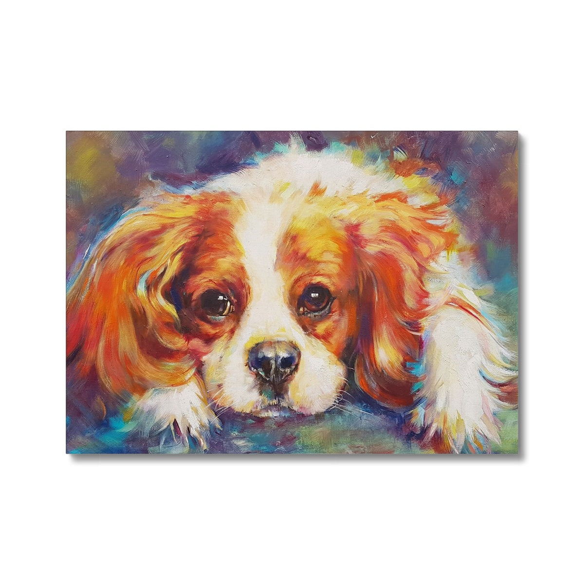Blenheim Canvas - Animal Art by Susan Gardner - Contemporary Expressionist - Colourful Fine Art
