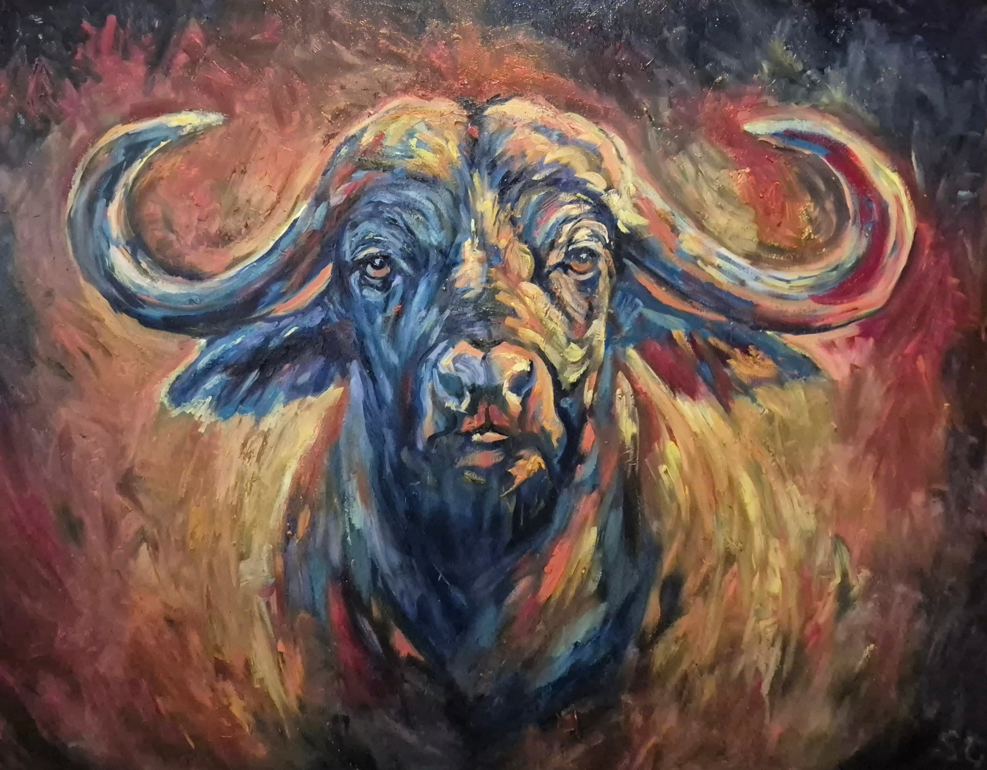 'Unshakeable' Original African Buffalo Oil Painting 40 x 30"/80 x 100 cm - Animal Art by Susan Gardner - Contemporary Expressionist - Colourful Fine Art