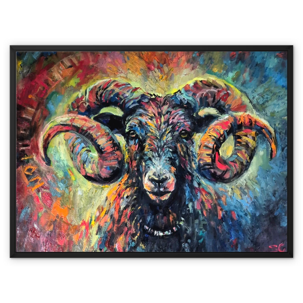 Ironside - framed sheep art by susan gardner - ram fine art prints