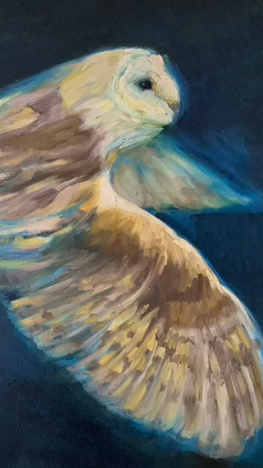 **Sold     'Free to Fly' - Original Barn Owl Oil Painting - 50 x 80 cm - Animal Art by Susan Gardner - Contemporary Expressionist - Colourful Fine Art