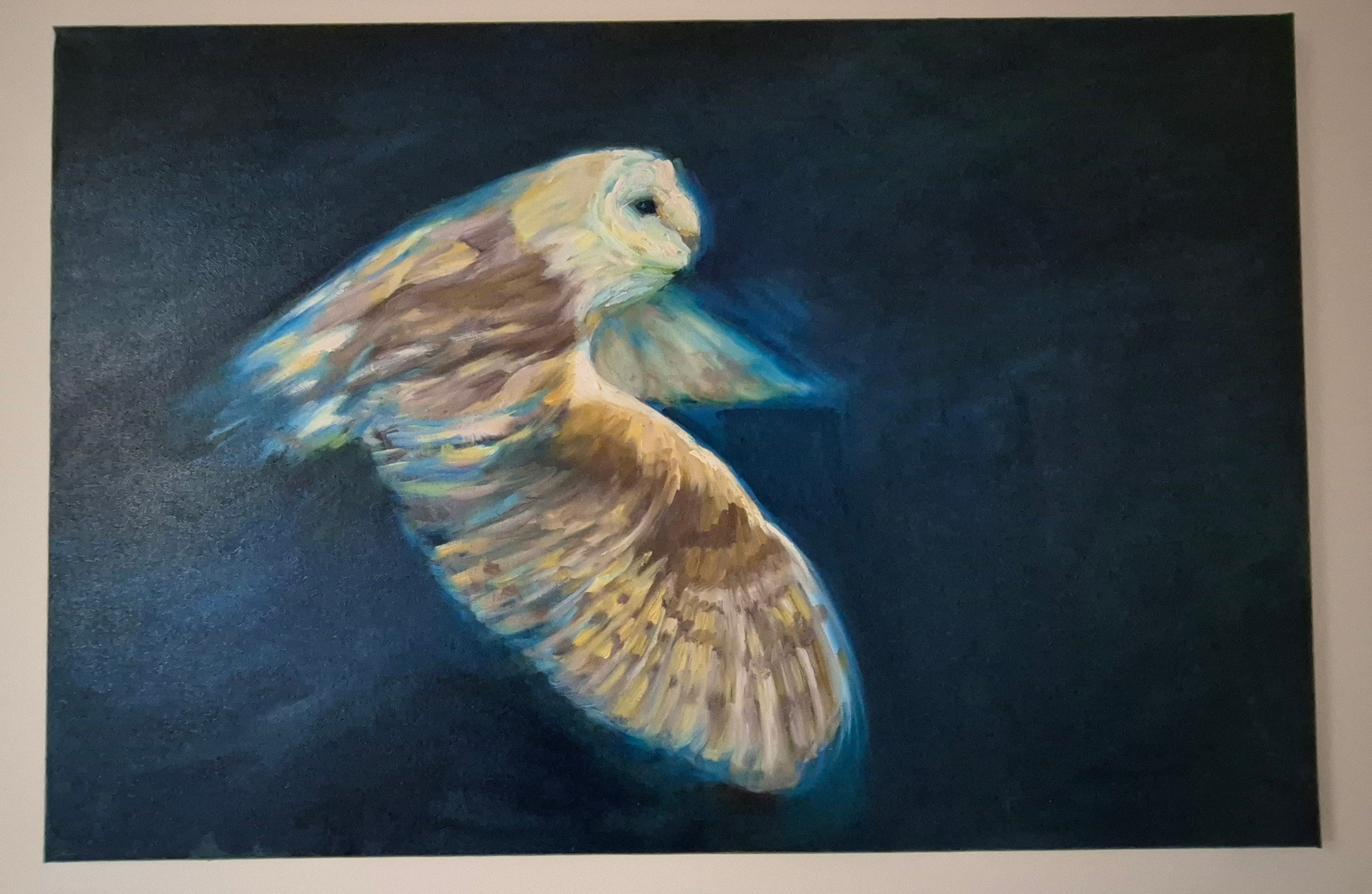 **Sold     'Free to Fly' - Original Barn Owl Oil Painting - 50 x 80 cm - Animal Art by Susan Gardner - Contemporary Expressionist - Colourful Fine Art