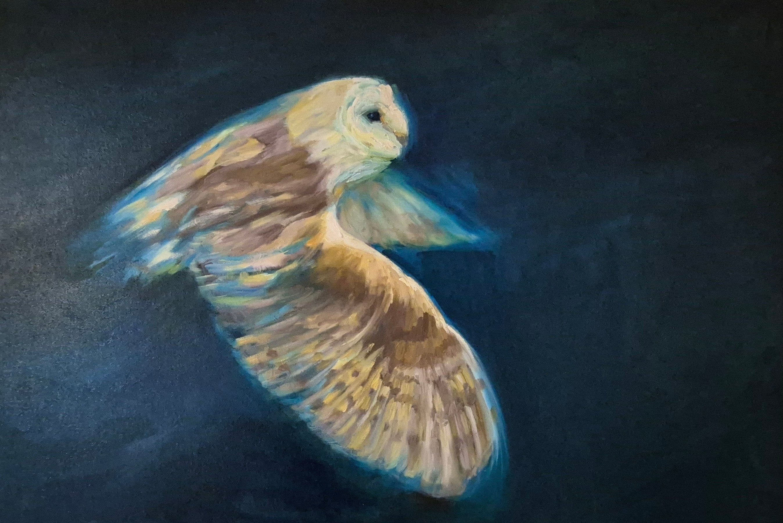 **Sold     'Free to Fly' - Original Barn Owl Oil Painting - 50 x 80 cm - Animal Art by Susan Gardner - Contemporary Expressionist - Colourful Fine Art