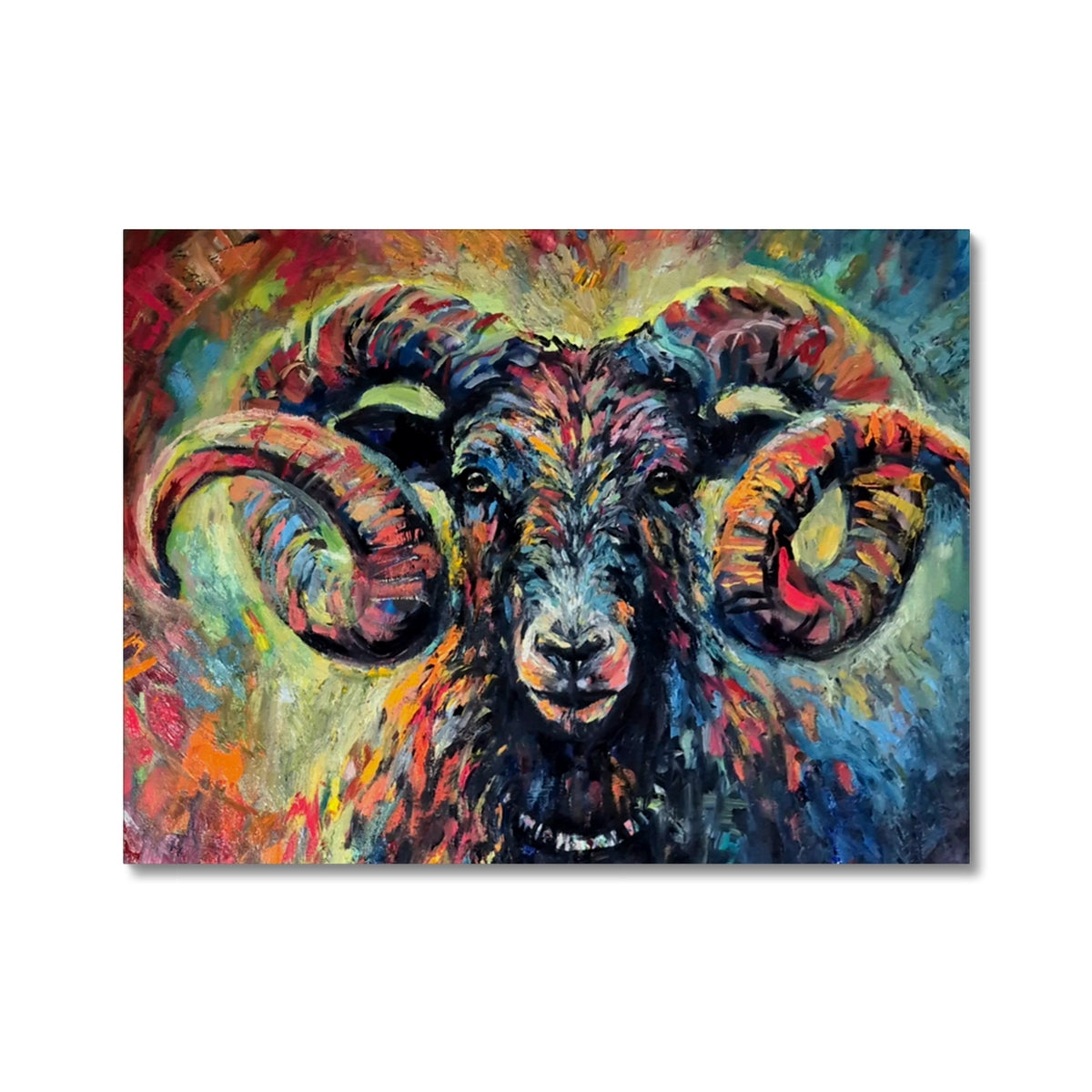 Ironside - sheep art by susan gardner - ram fine art prints