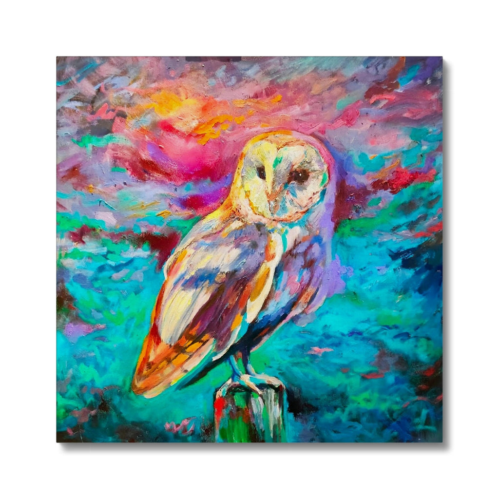 colourful owl wall art canvas print
