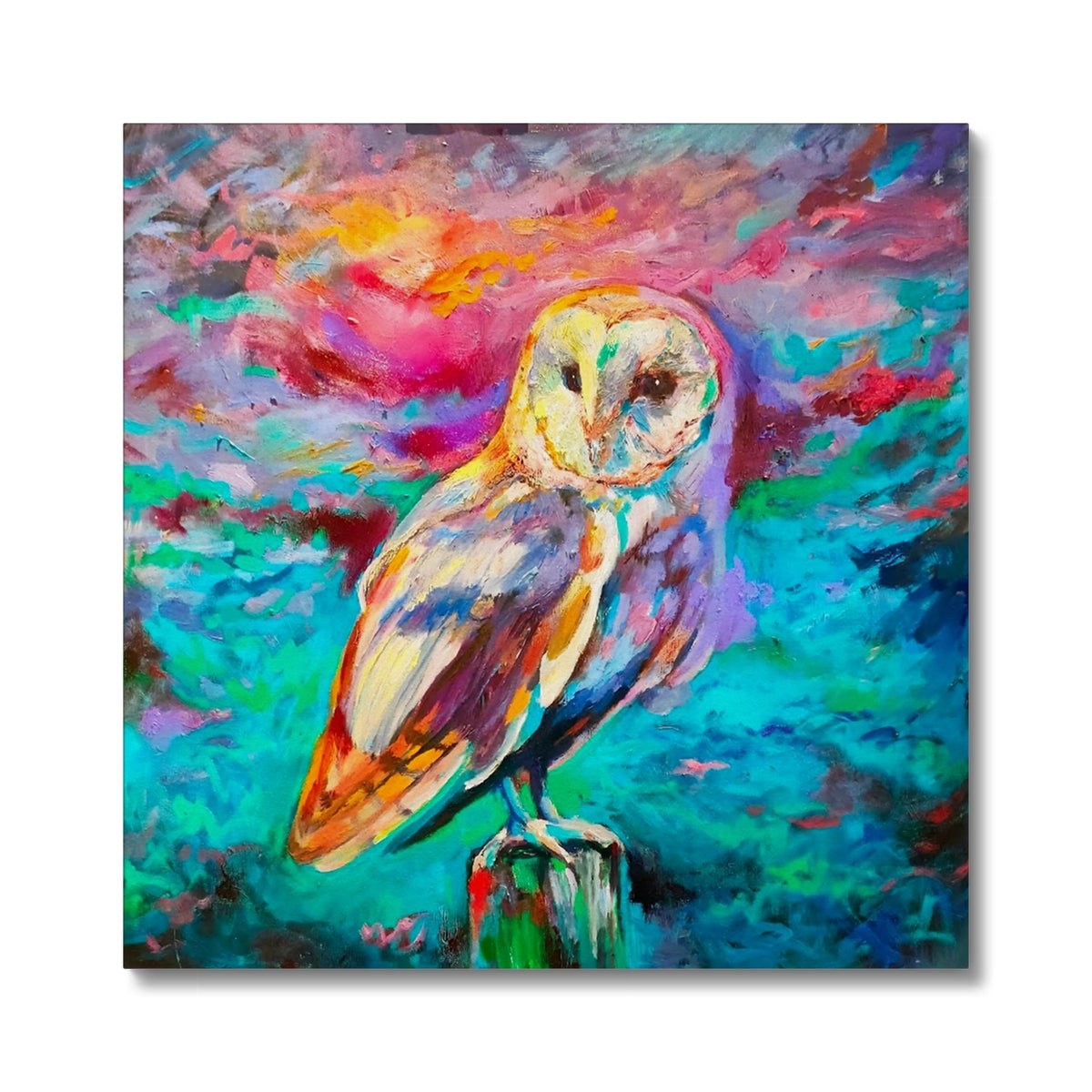 colourful owl wall art canvas print